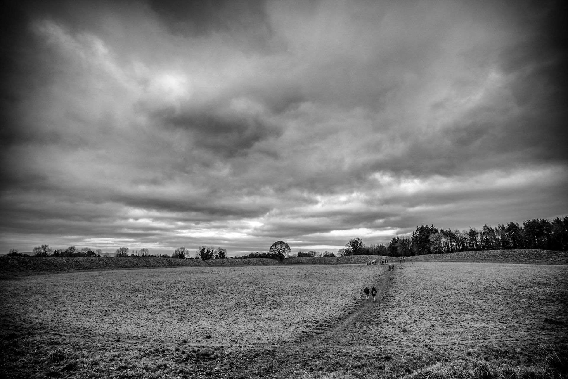 First dog walk of the new year and it looks like we were not teh only people with the same idea