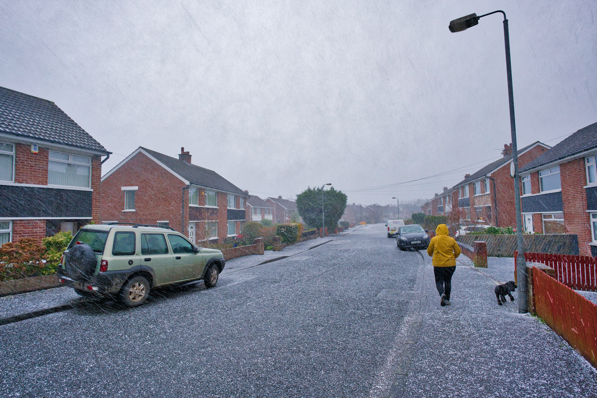 Dog walk in the snow