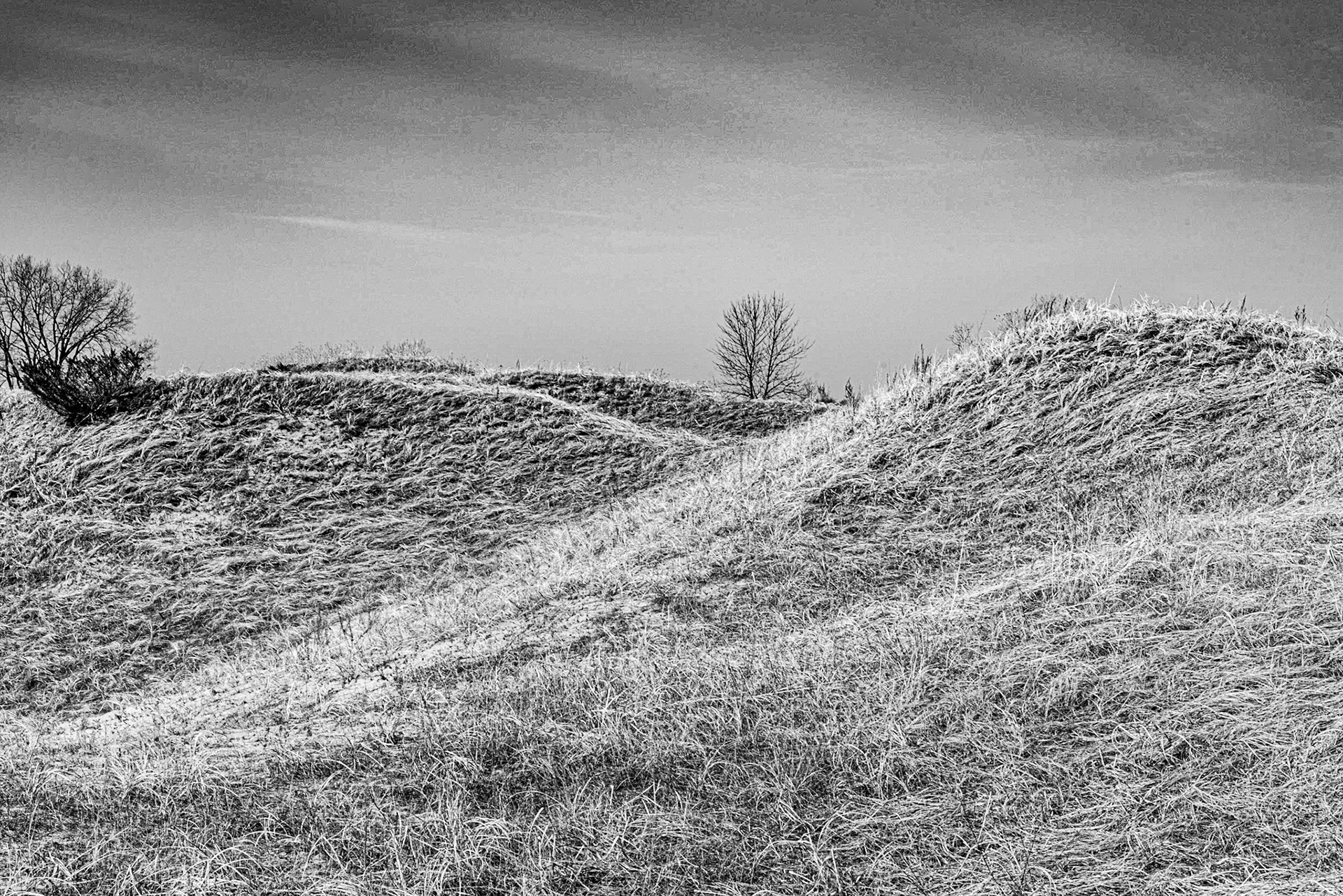 Kohler Andrea SP, Sheboygan WI 2021