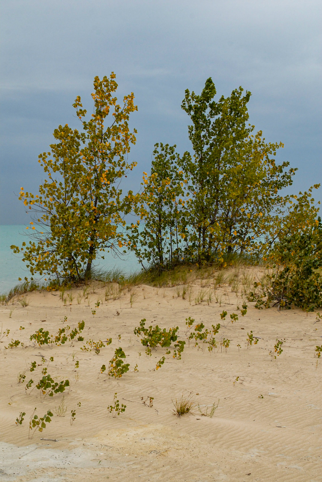 The Lake from Mt Baldy - Indiana Nat's Lakeshore - Michigan City IN