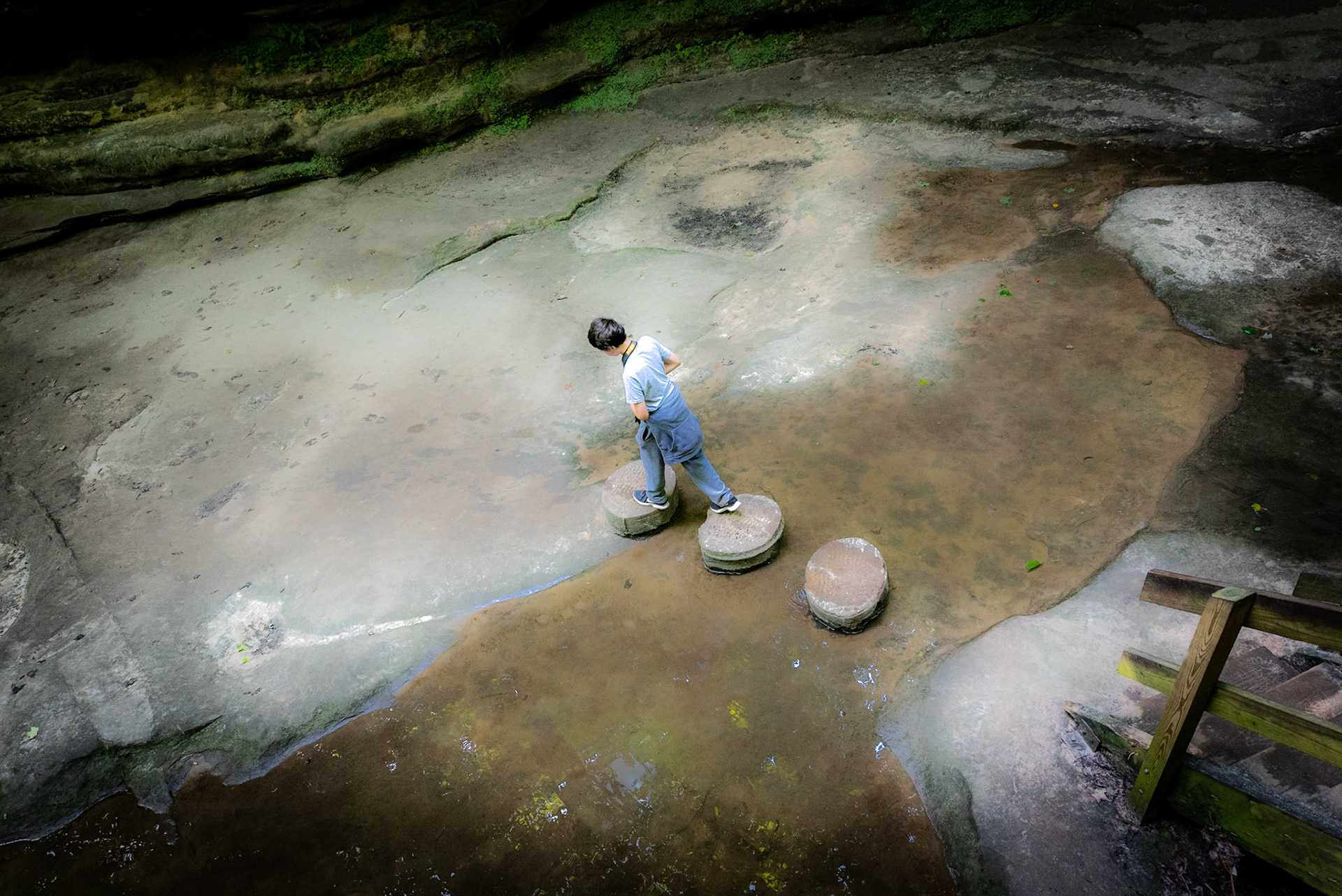 Wet Trail - Matthiessen SP, Utica IL, August 2020