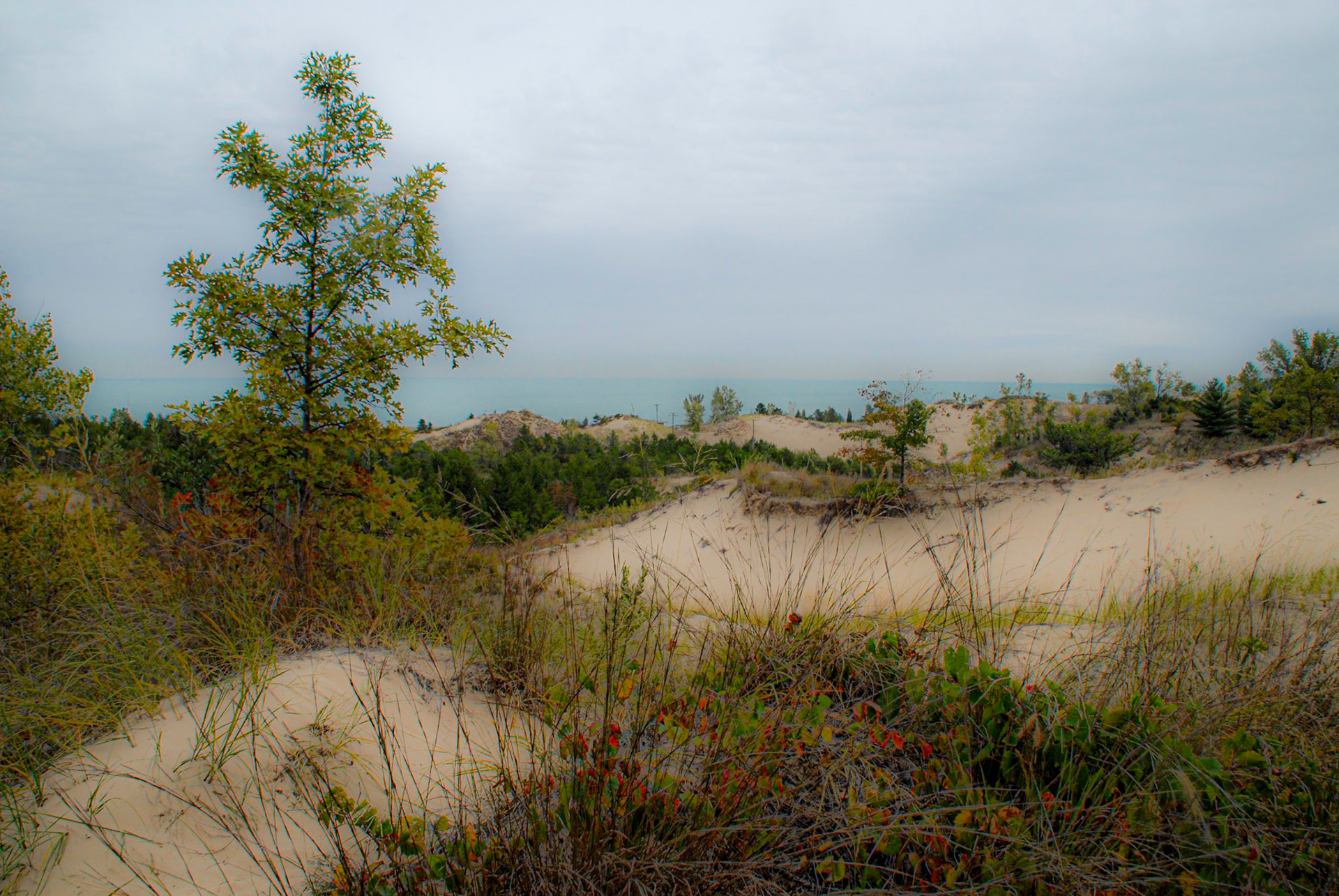The Lake from Mt Baldy - Indiana Nat's Lakeshore - Michigan City IN