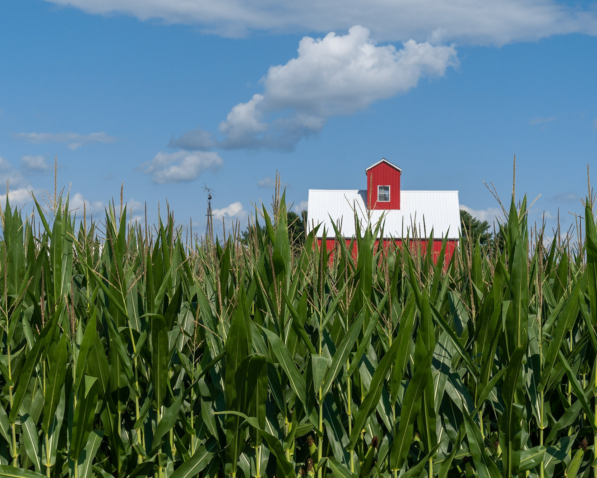 Lowell IL - August 2020