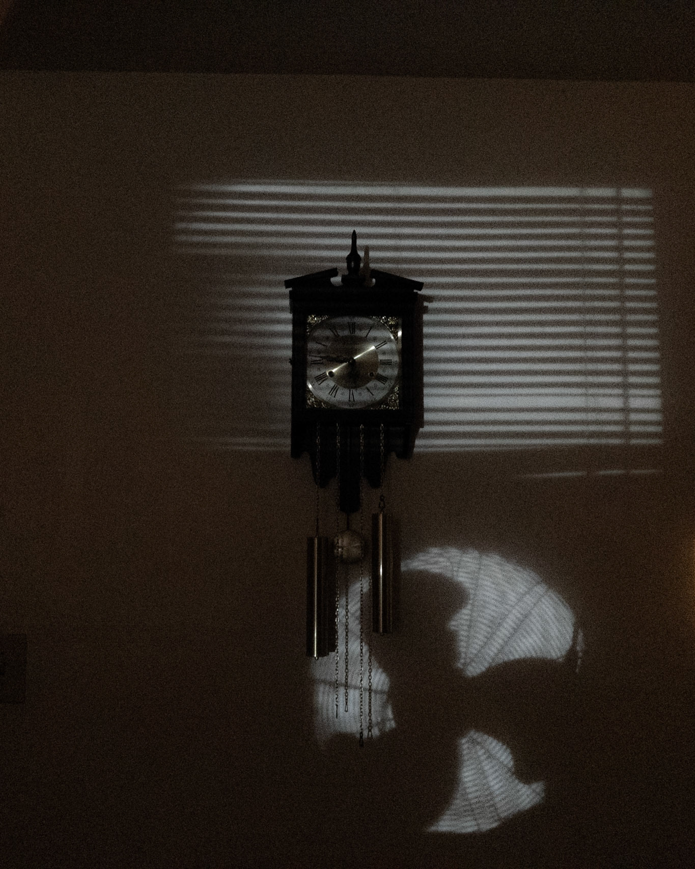 Shadows at Home -January 21, 2019