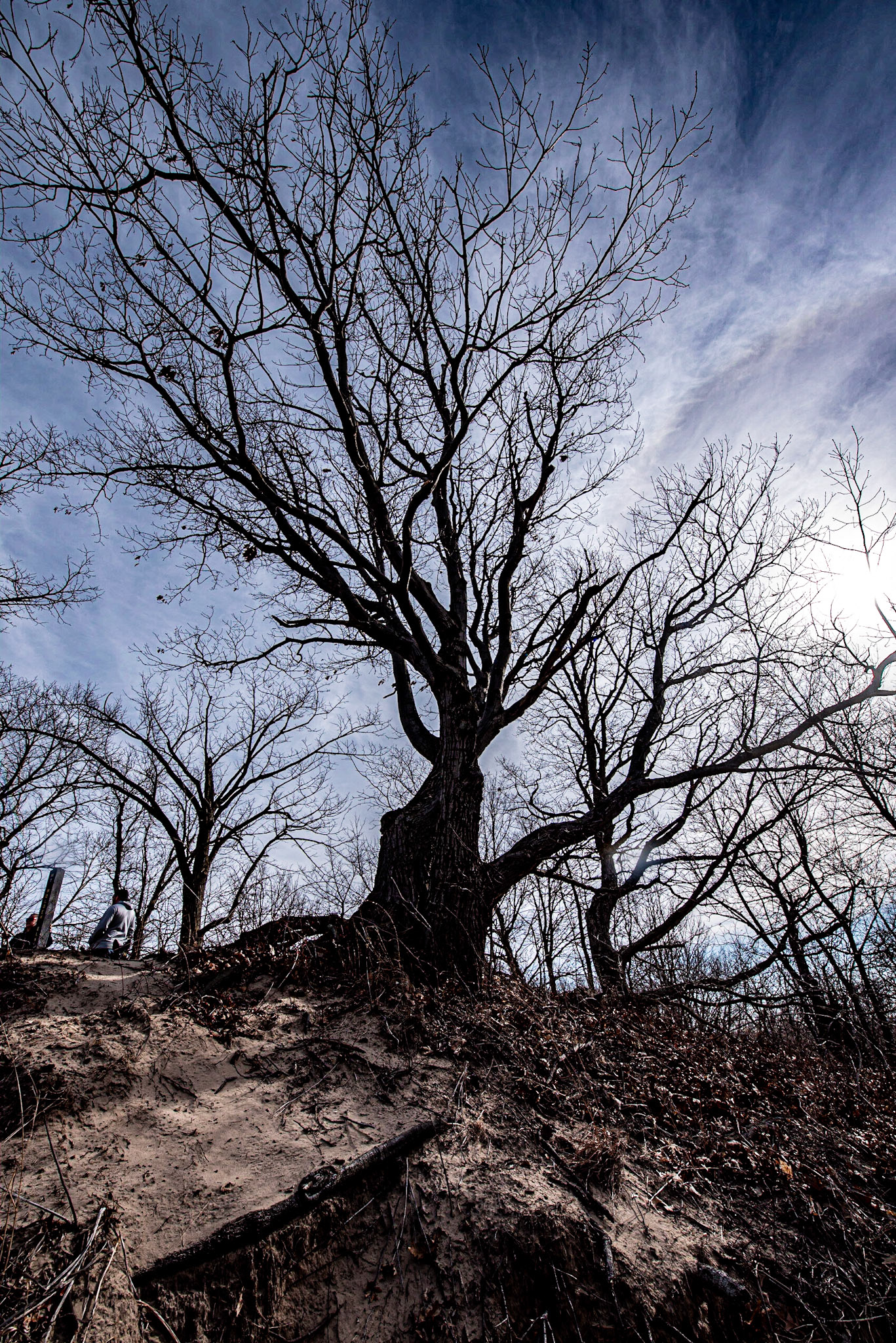 Indiana Dunes SP - February 2020