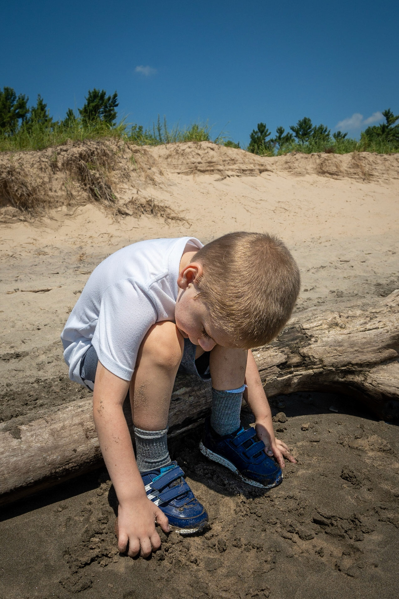 On the Beach - Kohler-Andrae SP Sheboygan WI, August 2020