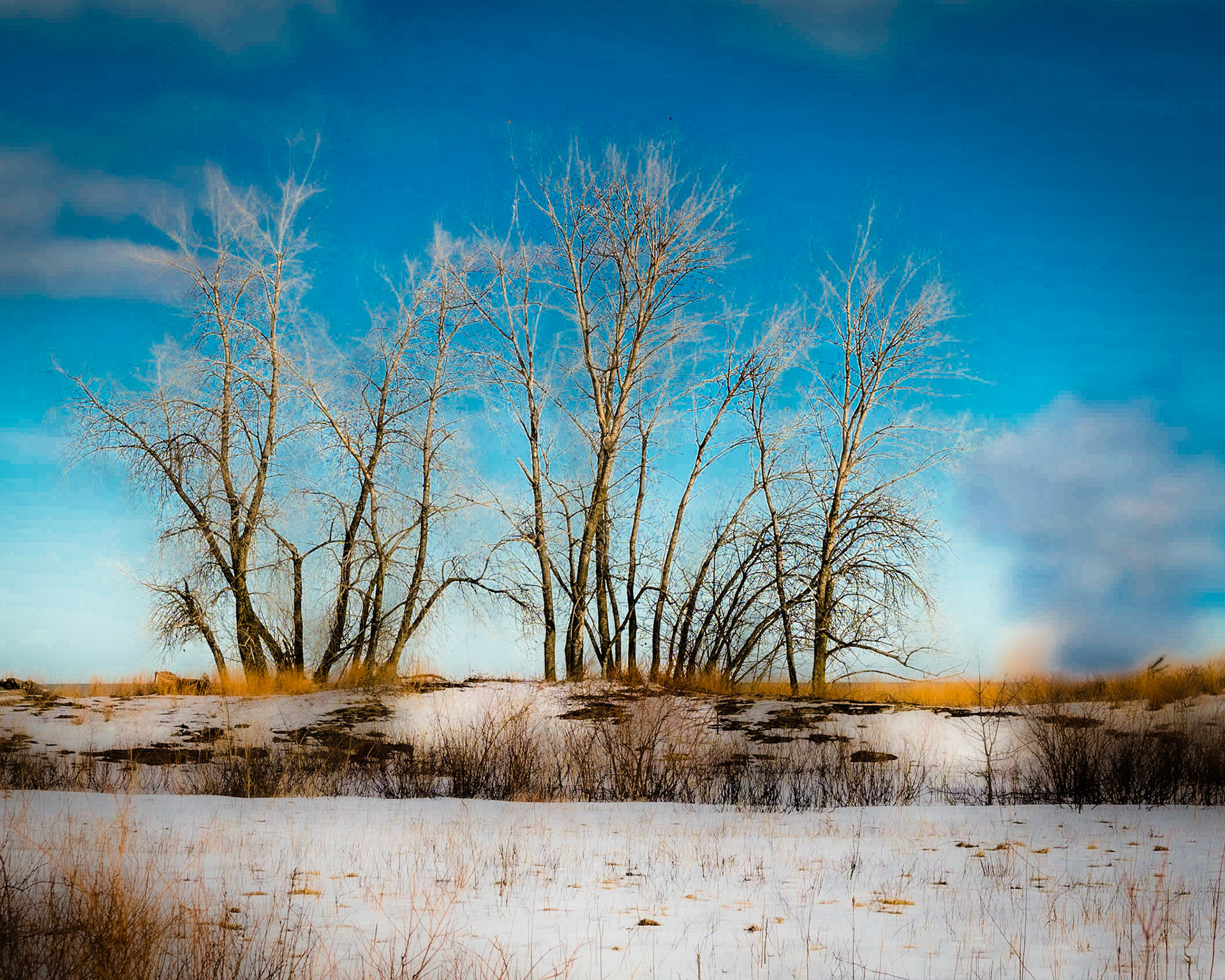 Illinois Beach SP, Zion Illinois
