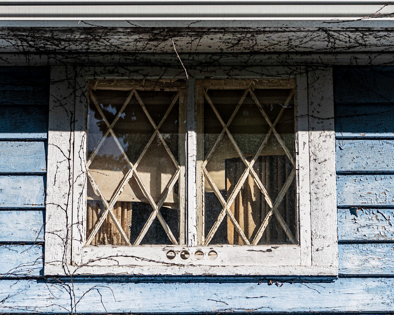 Windows - Wauwatosa, WI 2020