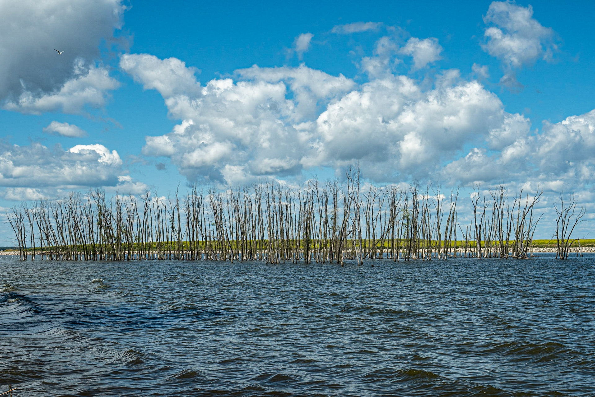 Green Bay WI August 2020