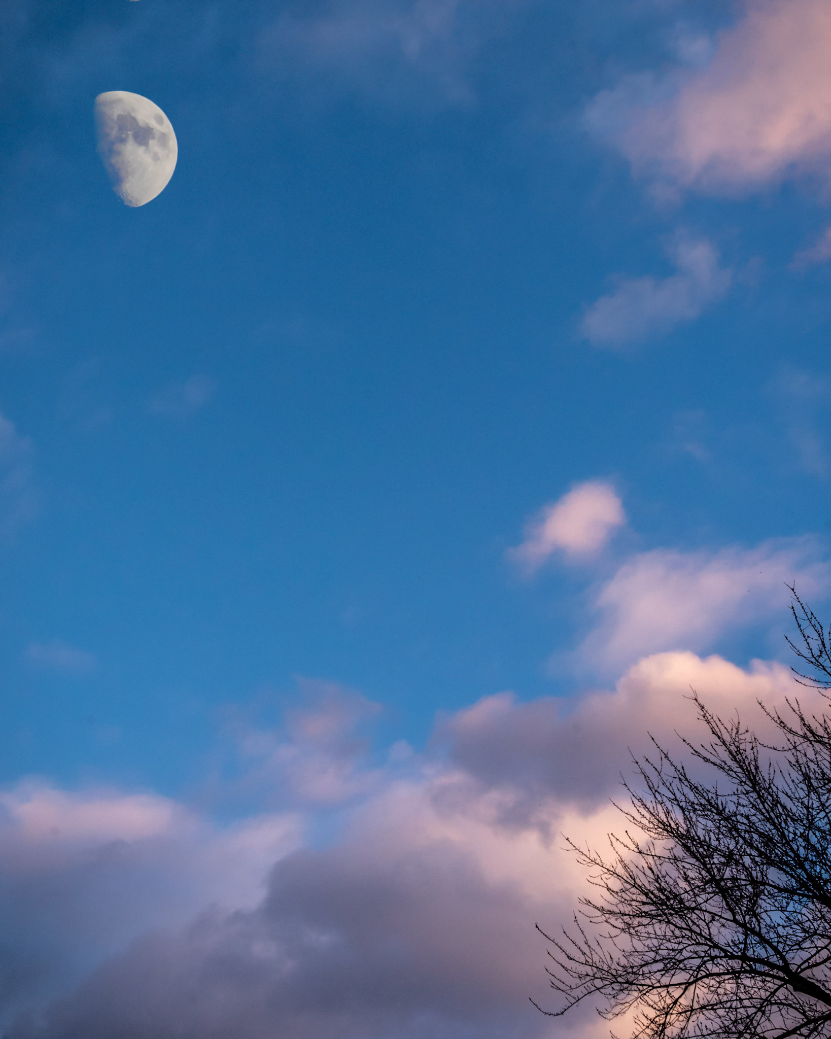 Just outside the back door, home Tosa - January 2020