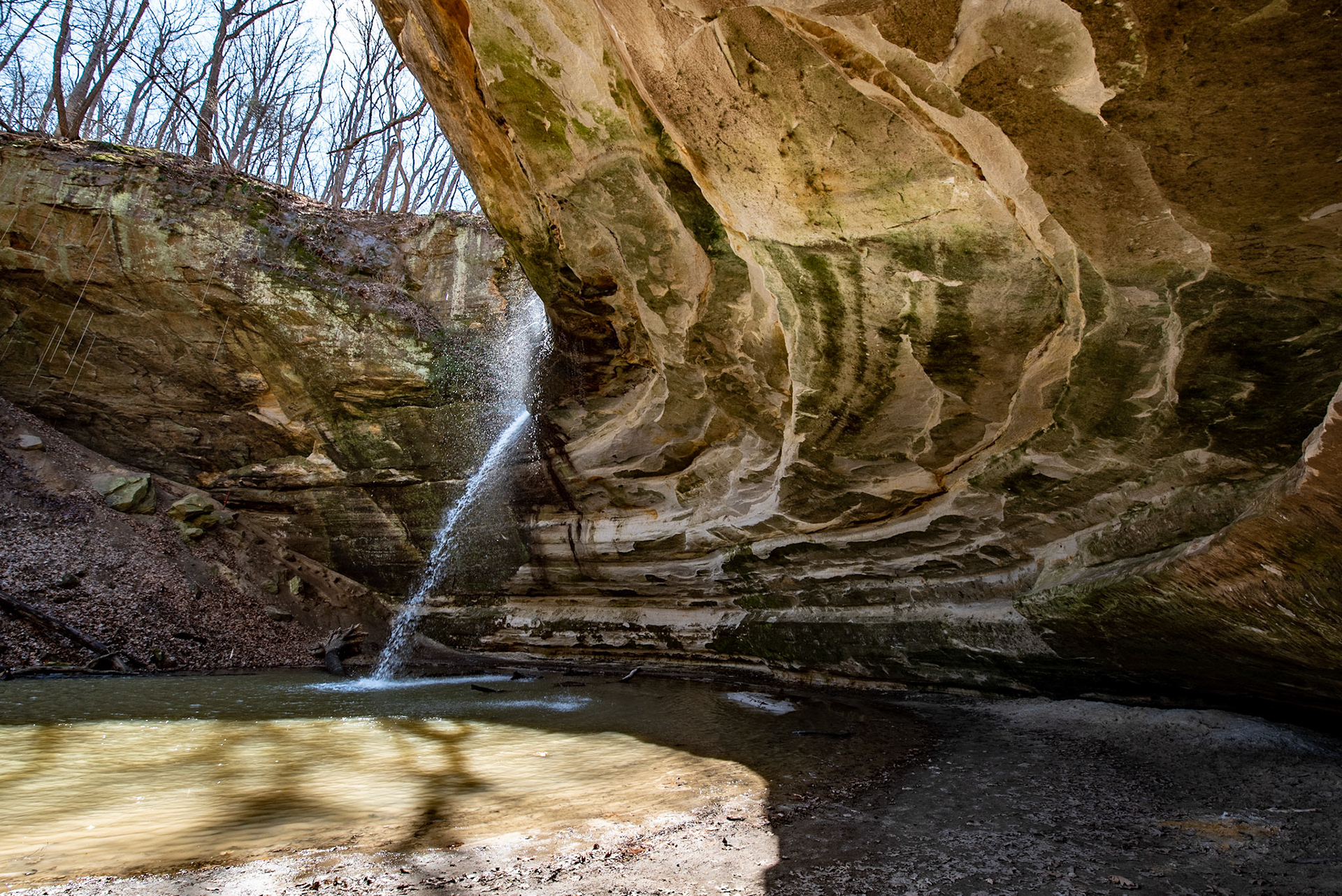 Ottawa Canyon, Starved Rock SP, Utica, IL, Apl 2019