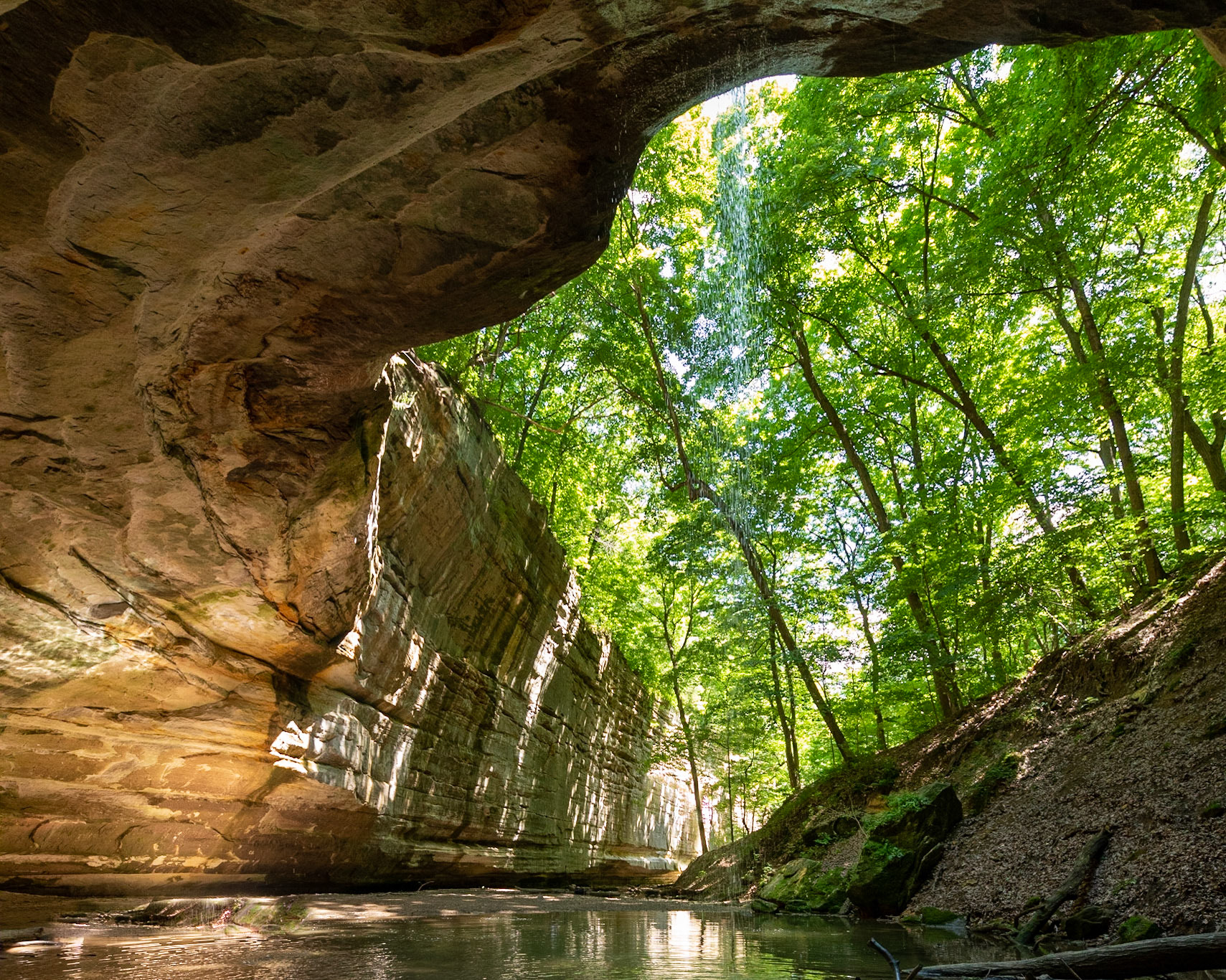 Ottawa Canyon , Starved Rock SP, Utica IL - June 2020