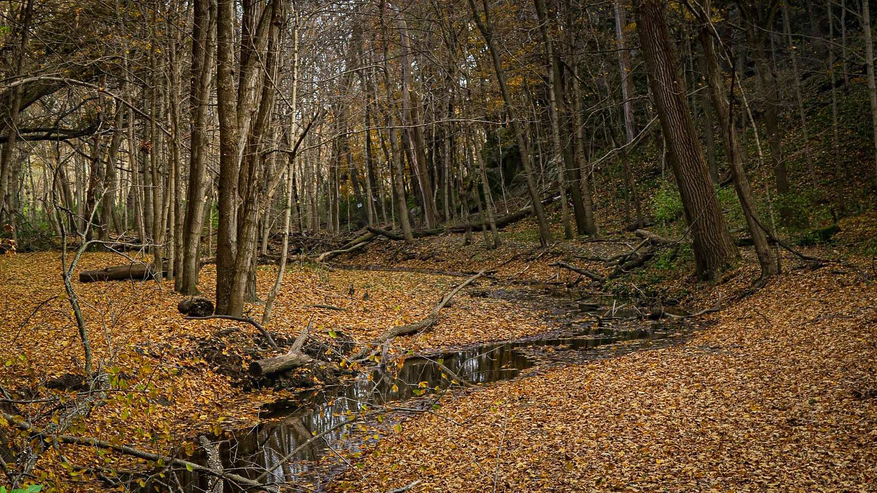 Illinois Canyon - Starved Rock SP, Utica IL