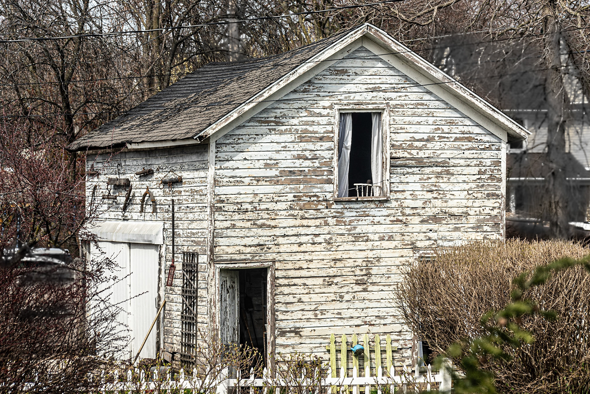 Neighbors garage - Wauwatosa WI, 2020