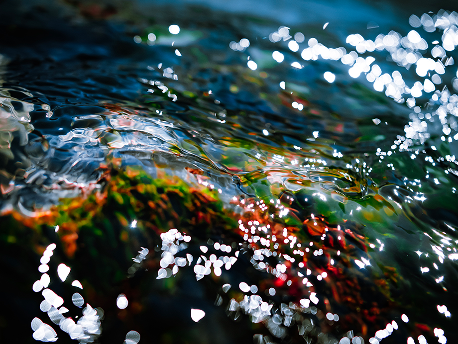 Wasser