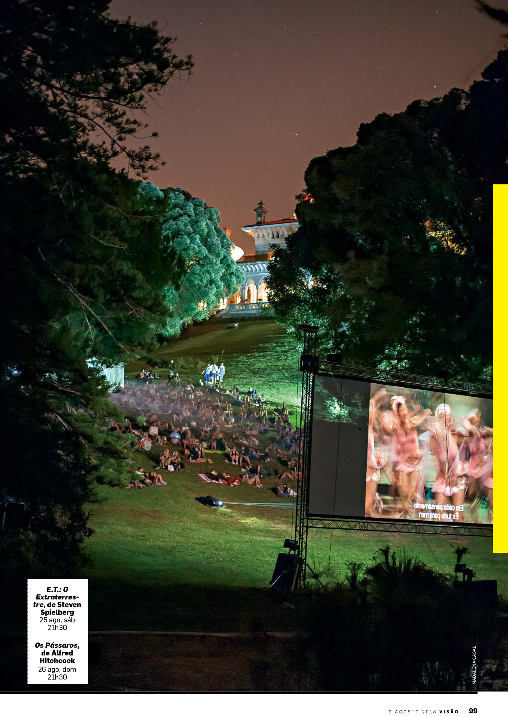 Esplendor na relva em Serralves