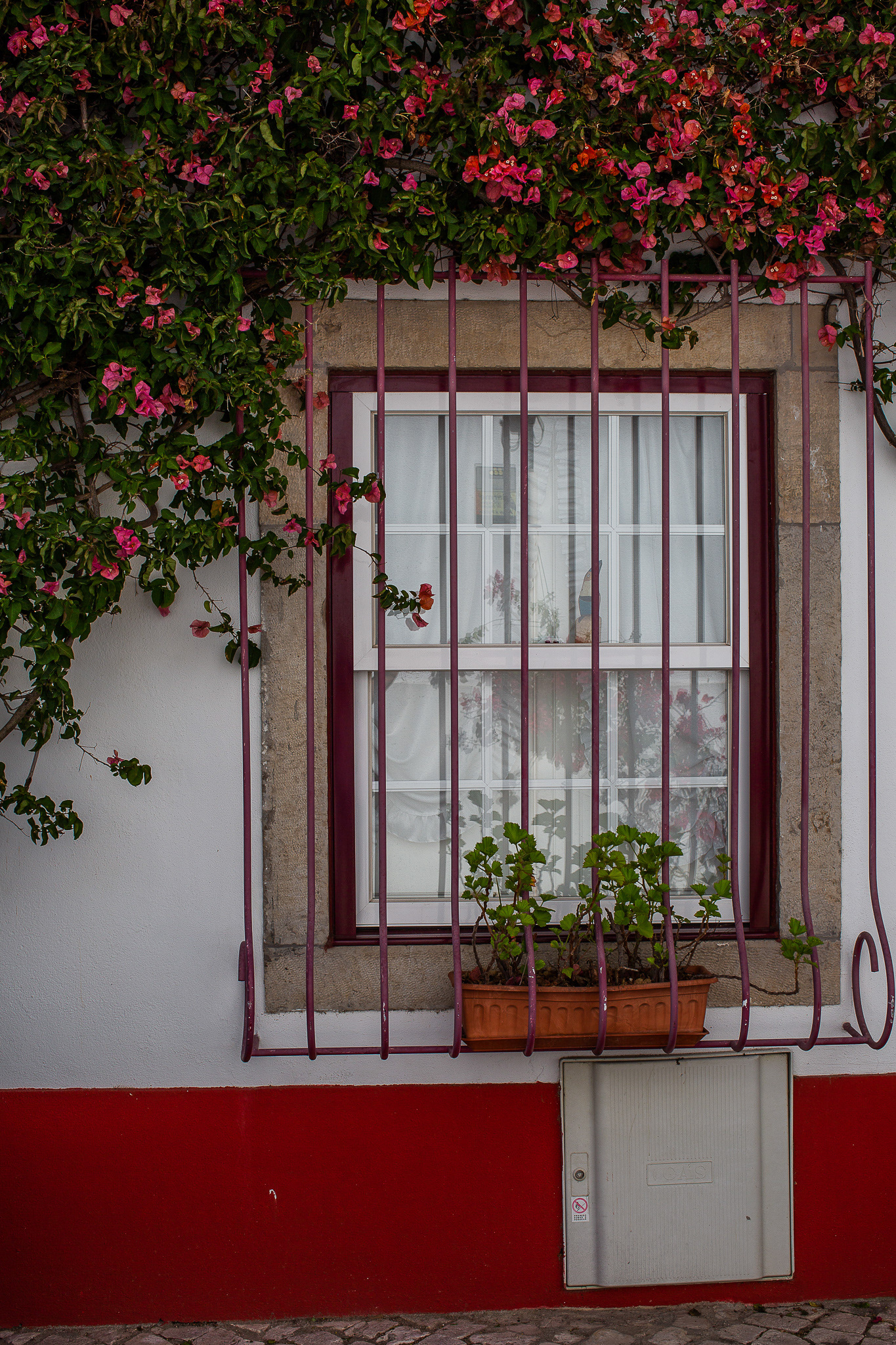 Portugal food and wine tour