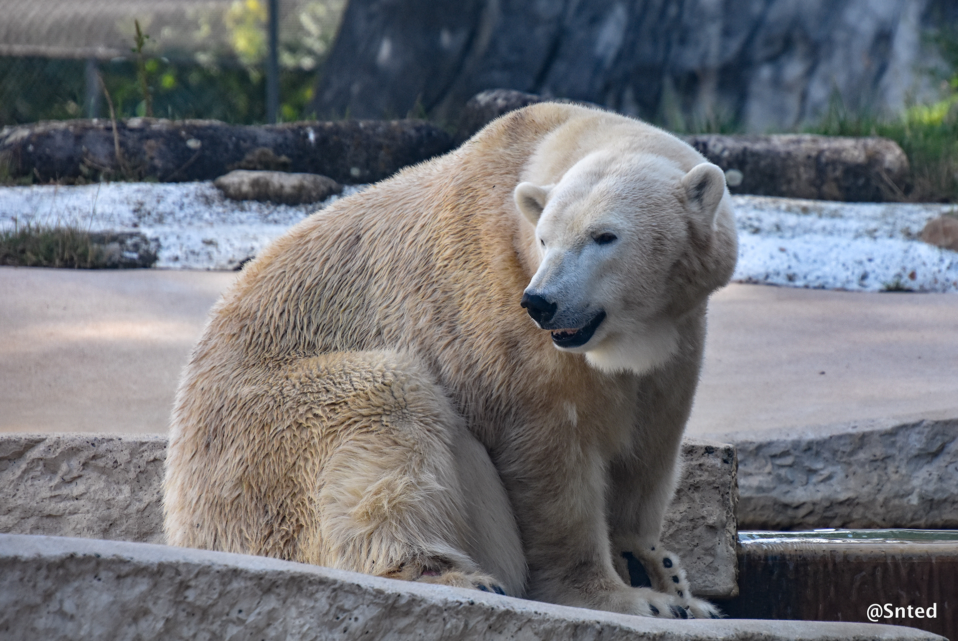 Wann wurde der zoo in karlsruhe gegründet