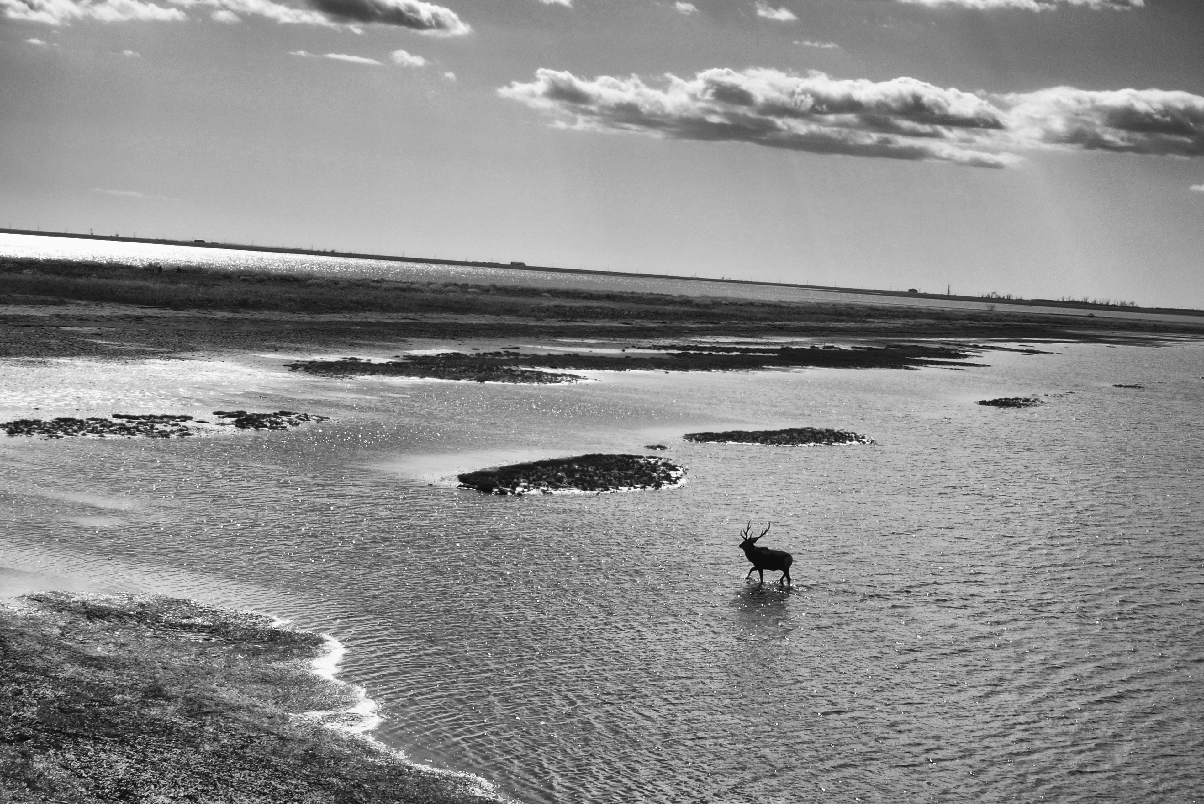 Nature Center, Notsuke Peninsula