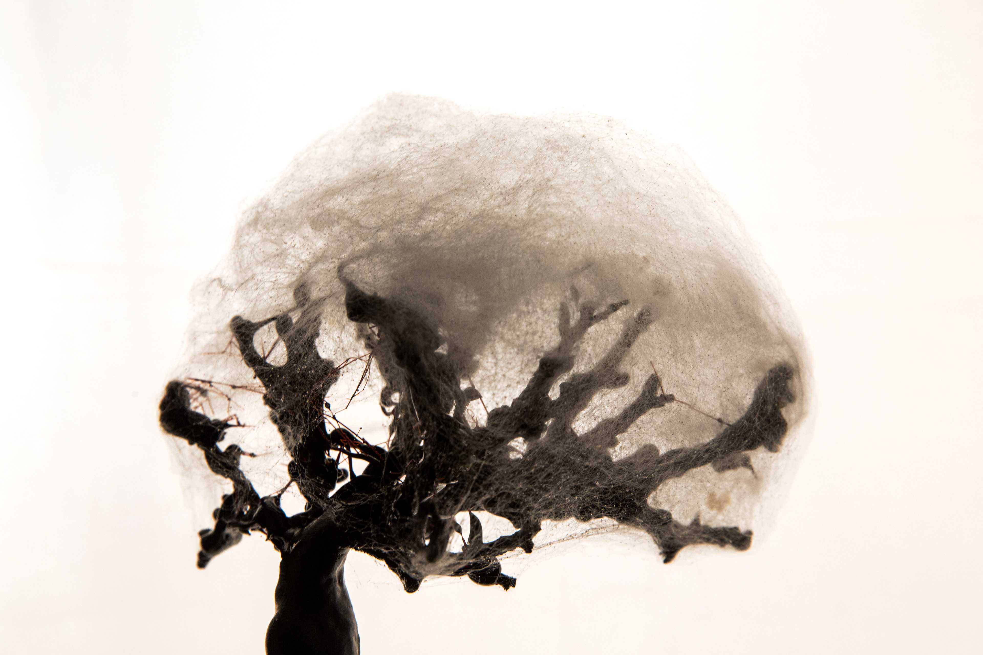 hollow 3D printed parts covered with cotton candy