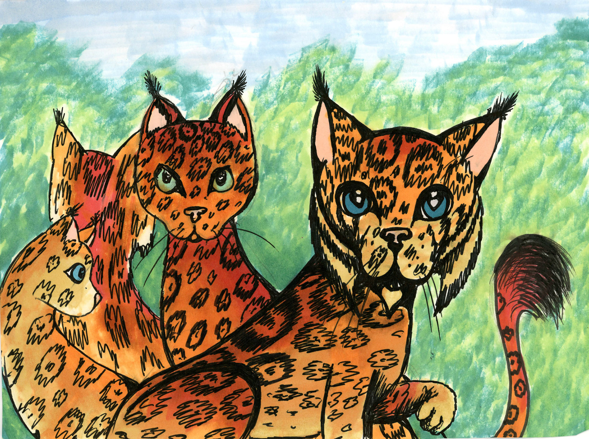 Alice Laurent Animals