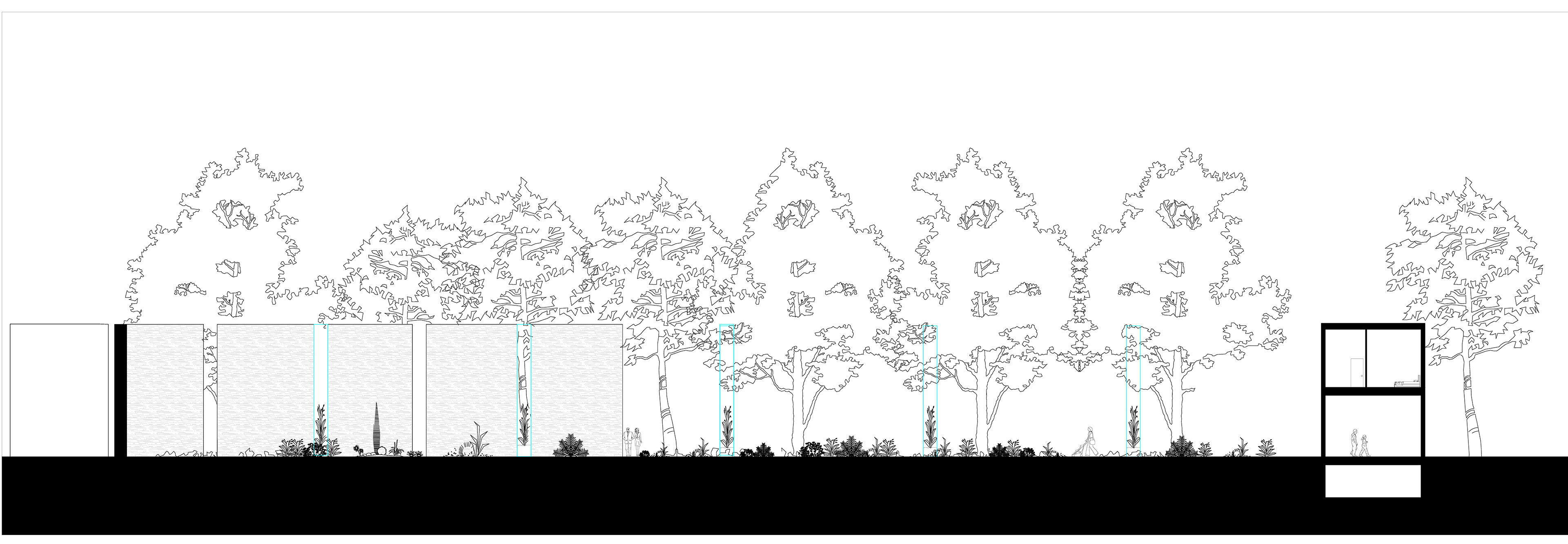 Site Section