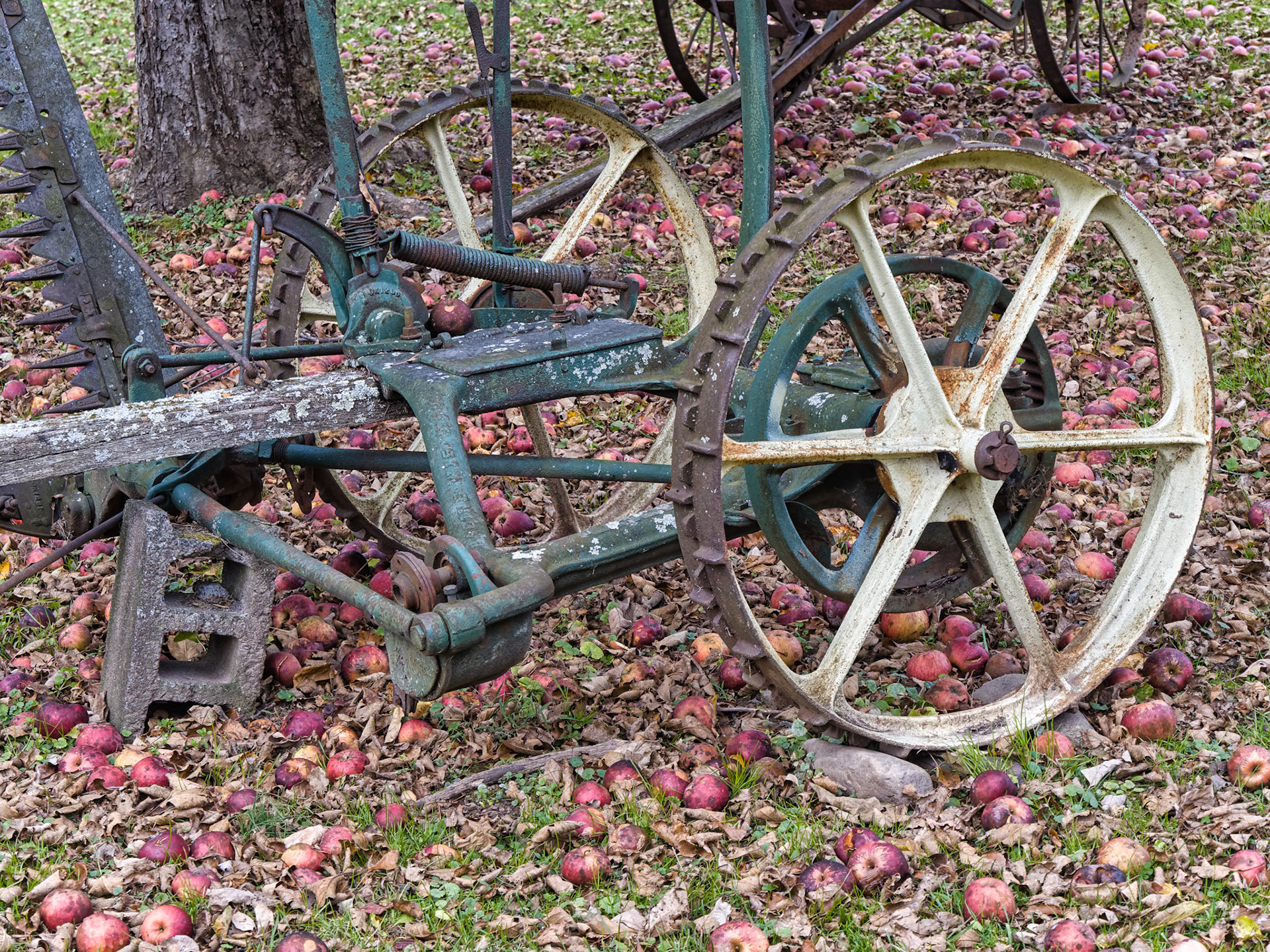 NJ Historic Towns 00066