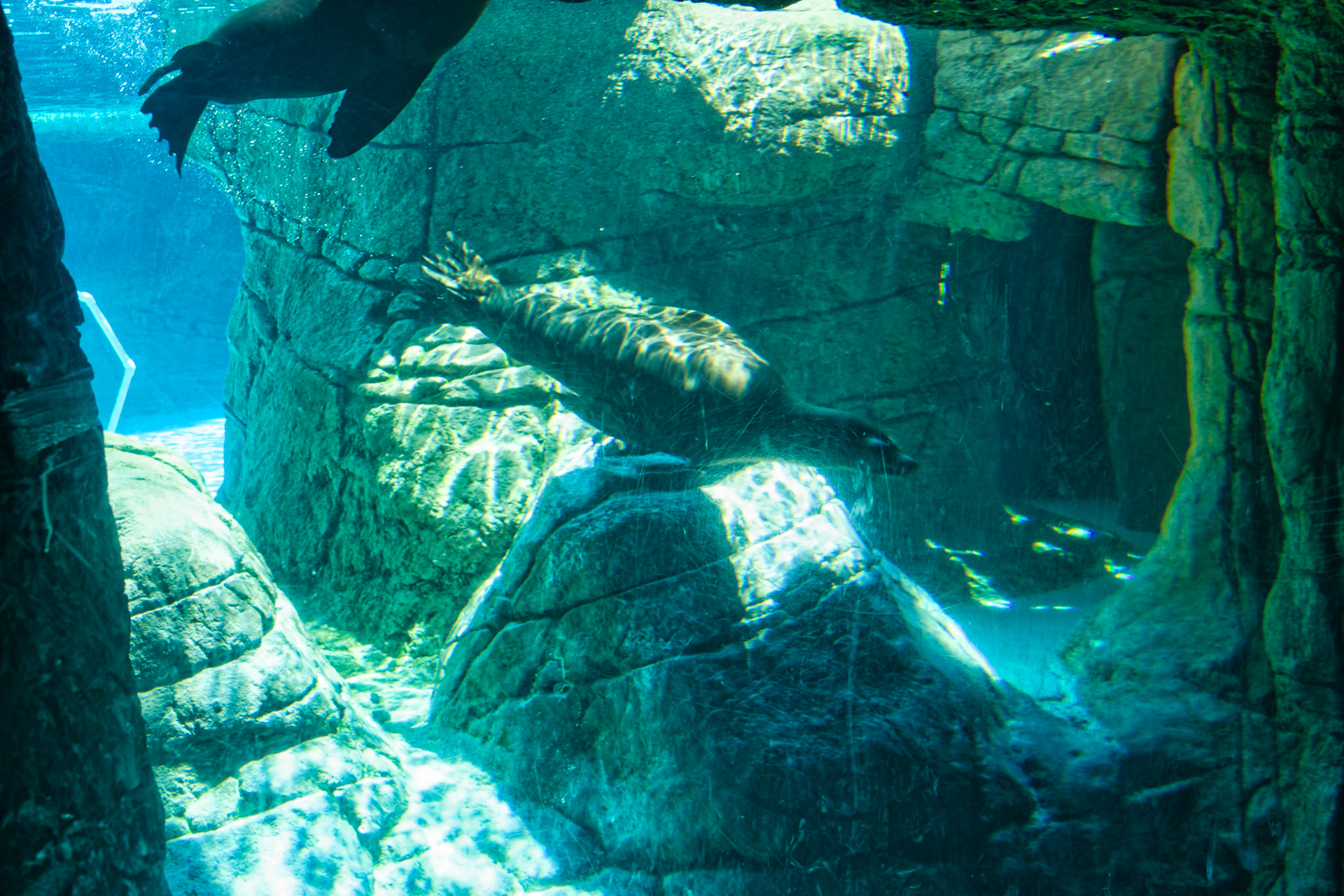 IN Zoo 00123