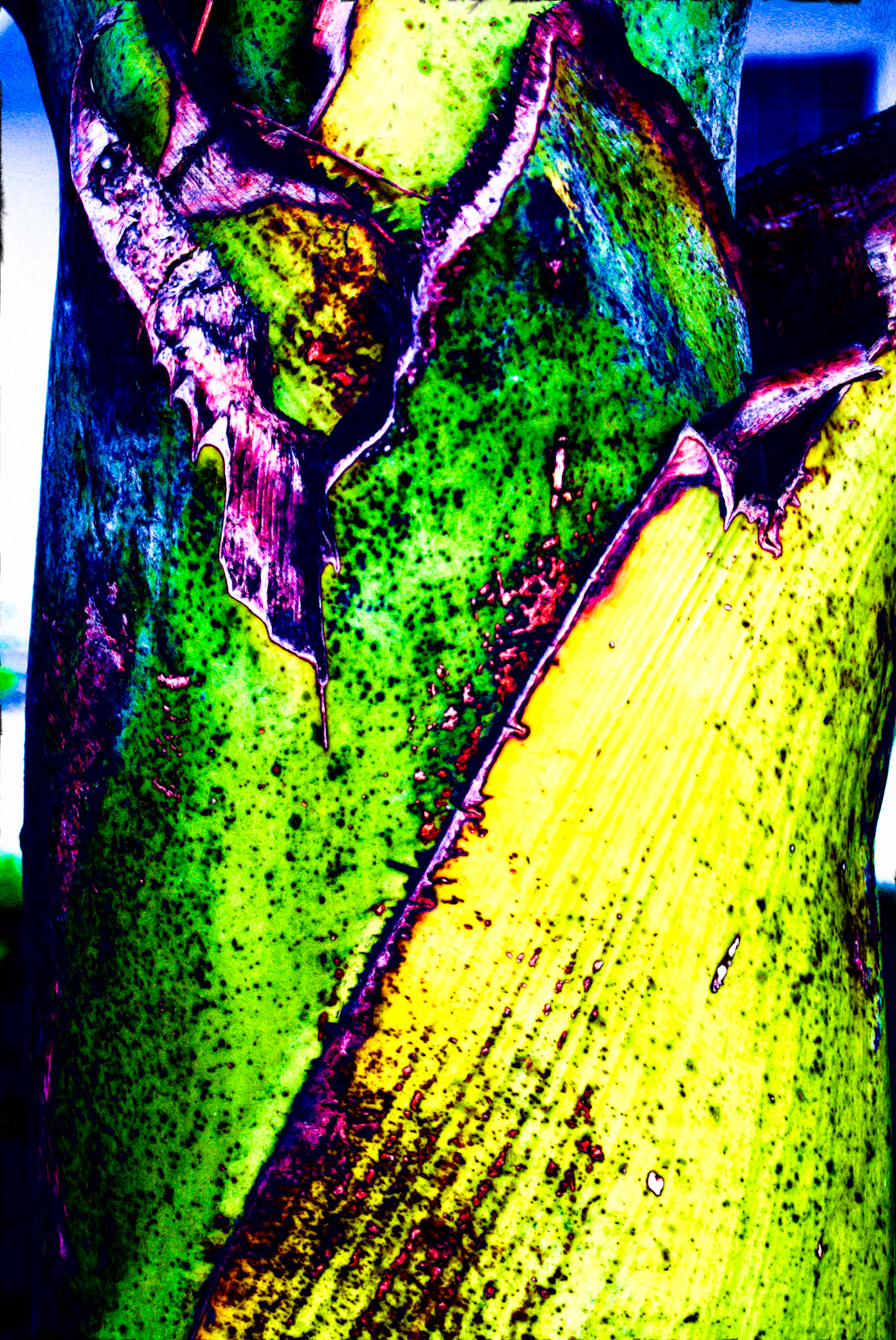 Paintings 00348