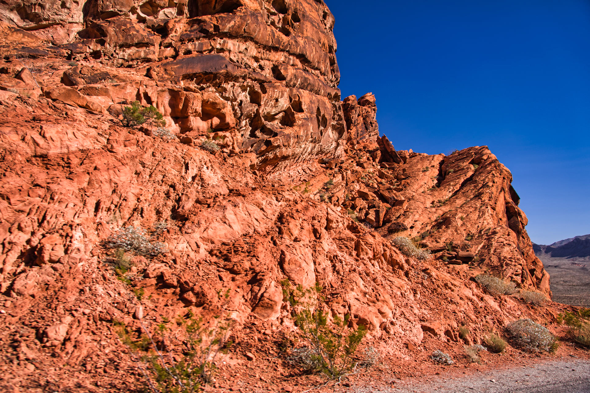 NV Desert 00096
