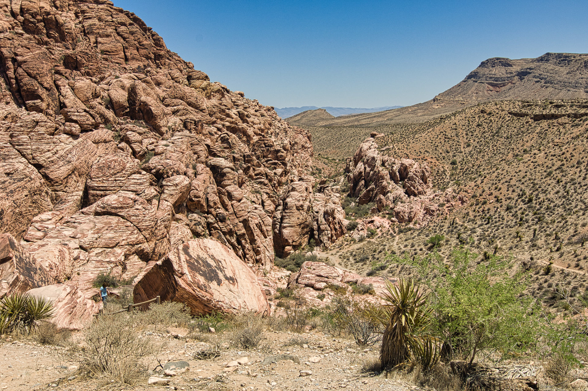 NV Desert 00005