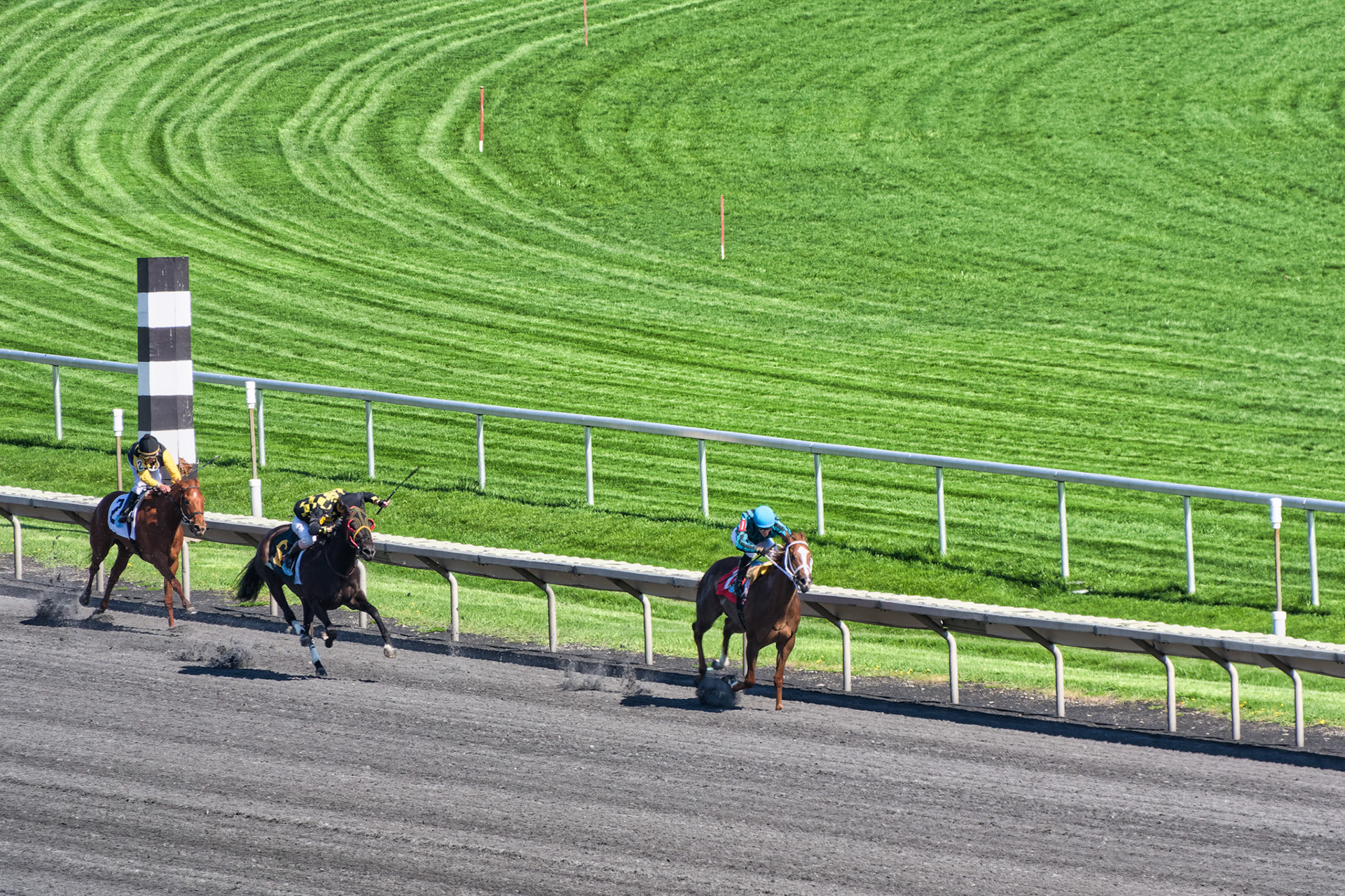 IL Arlington Park 00039