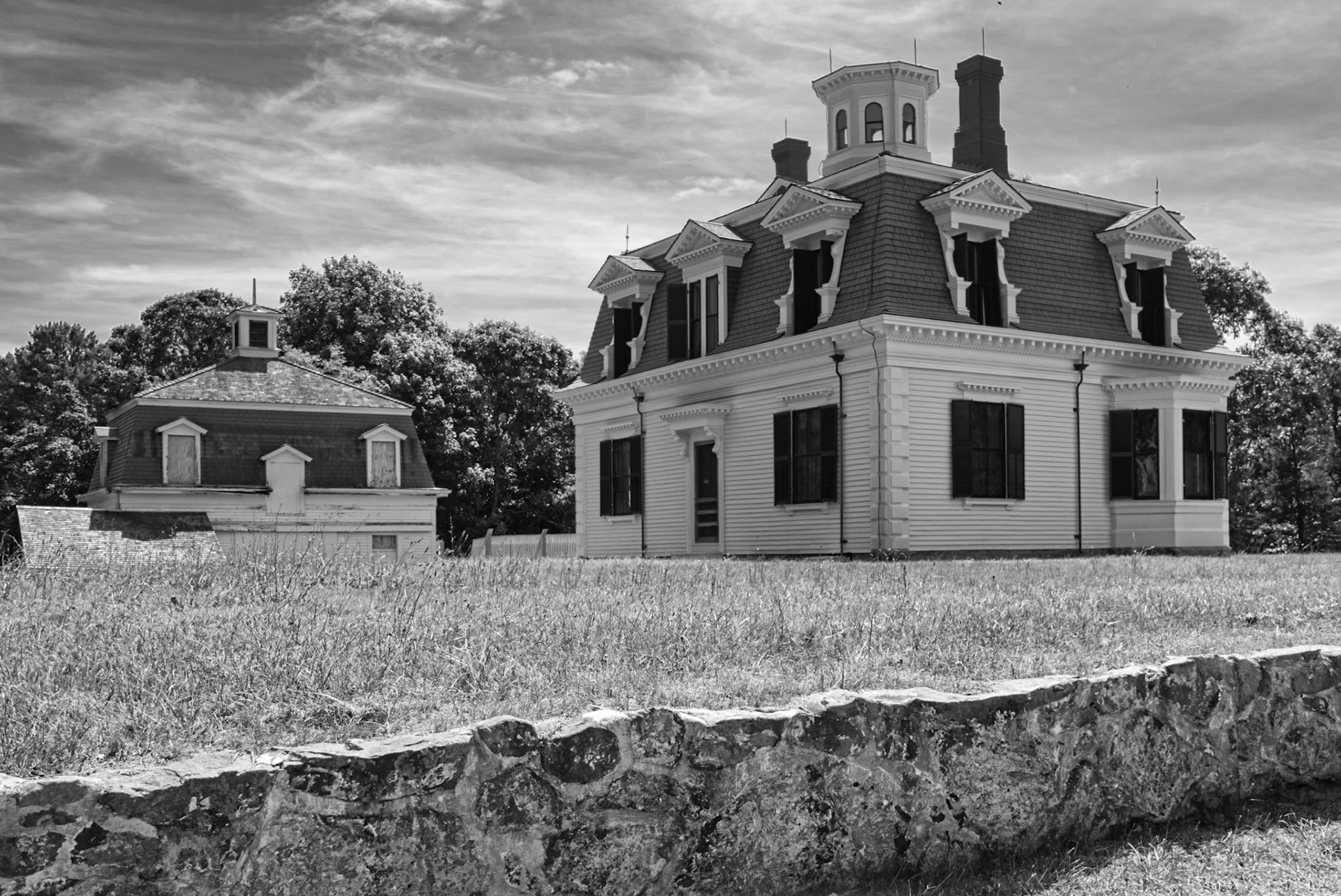 Black & White 00290
