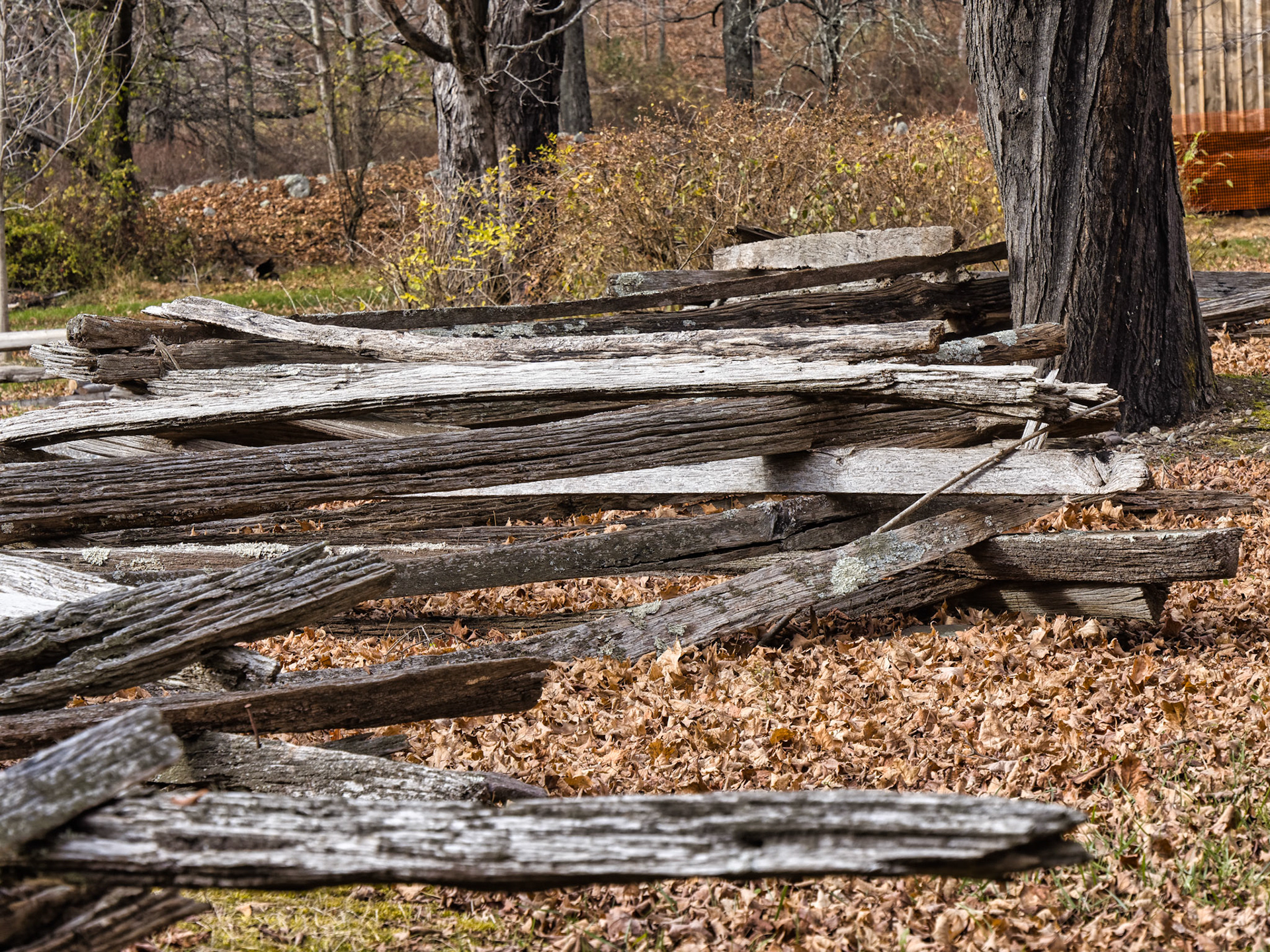 NJ Historic Towns 00039