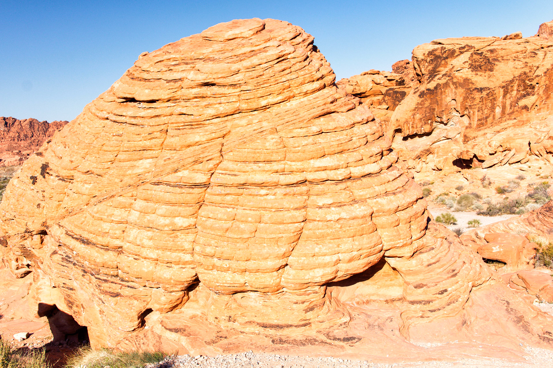 NV Desert 00204