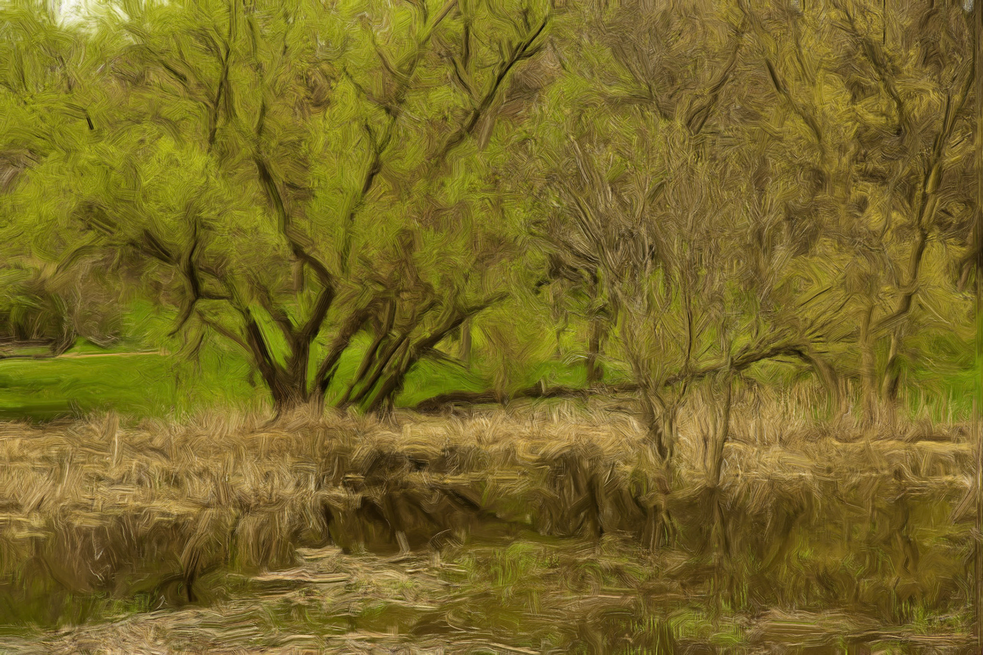 Paintings 00265
