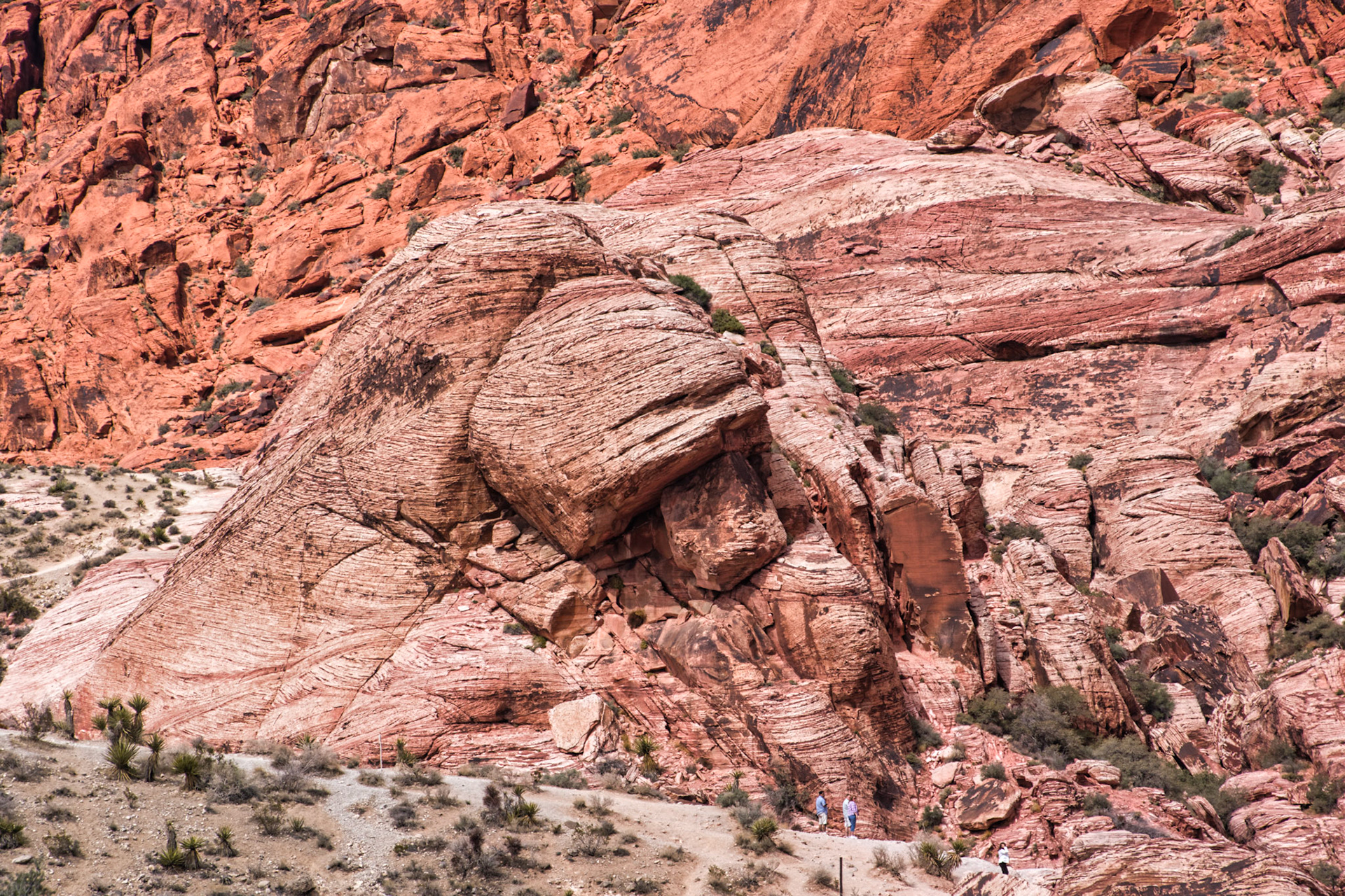 NV Desert 00195
