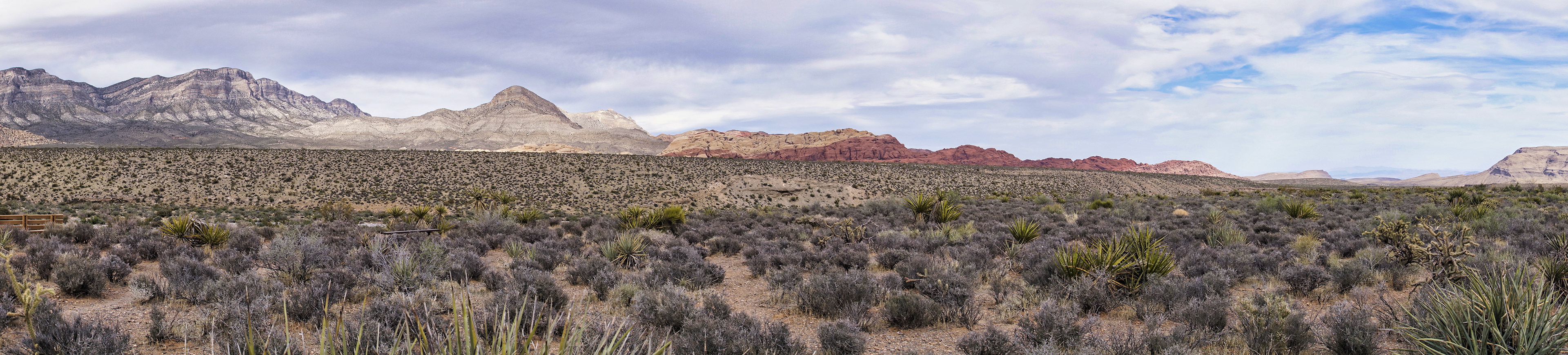 NV Desert 00165