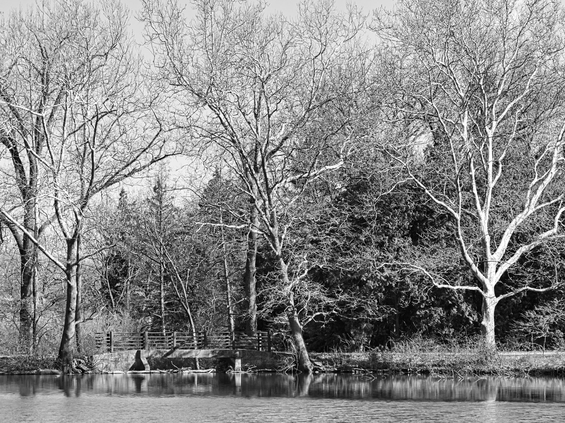 Black & White 00261