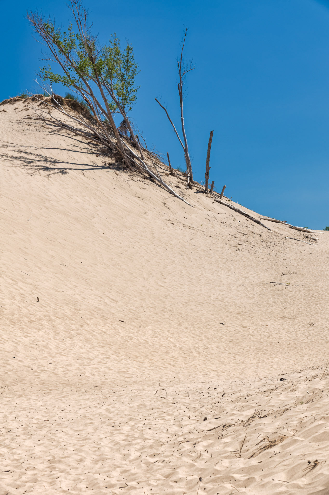 MI Dunes 00028