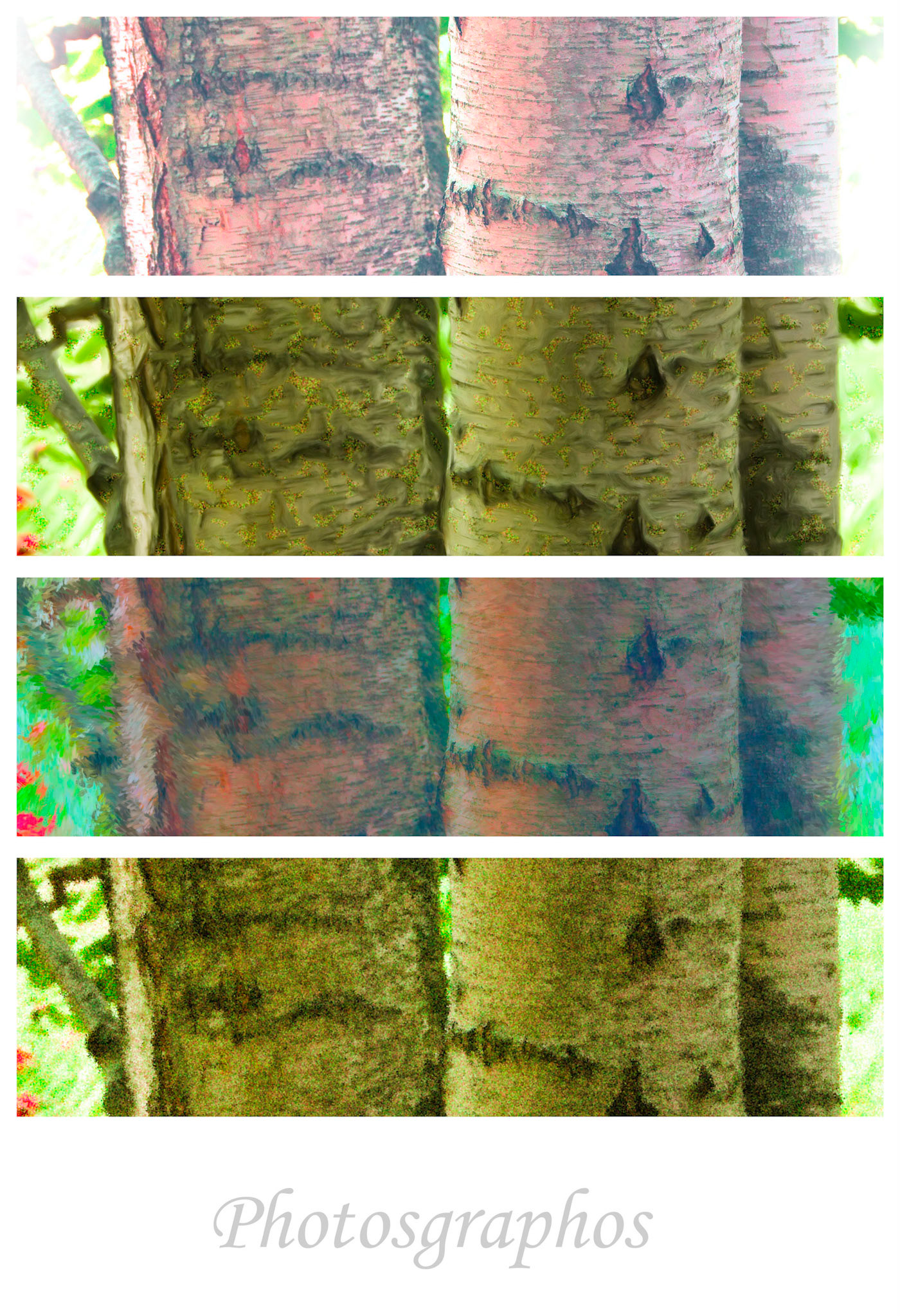 Collages