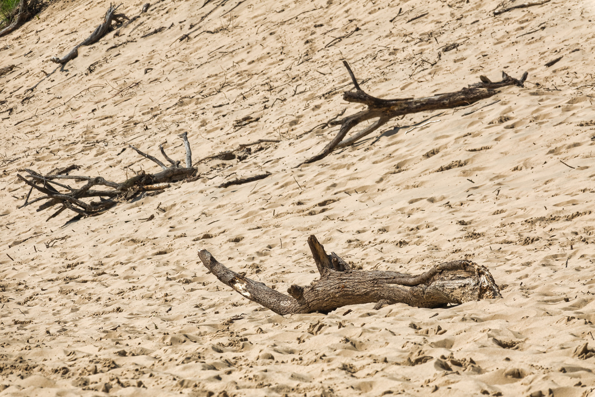 MI Dunes 00105