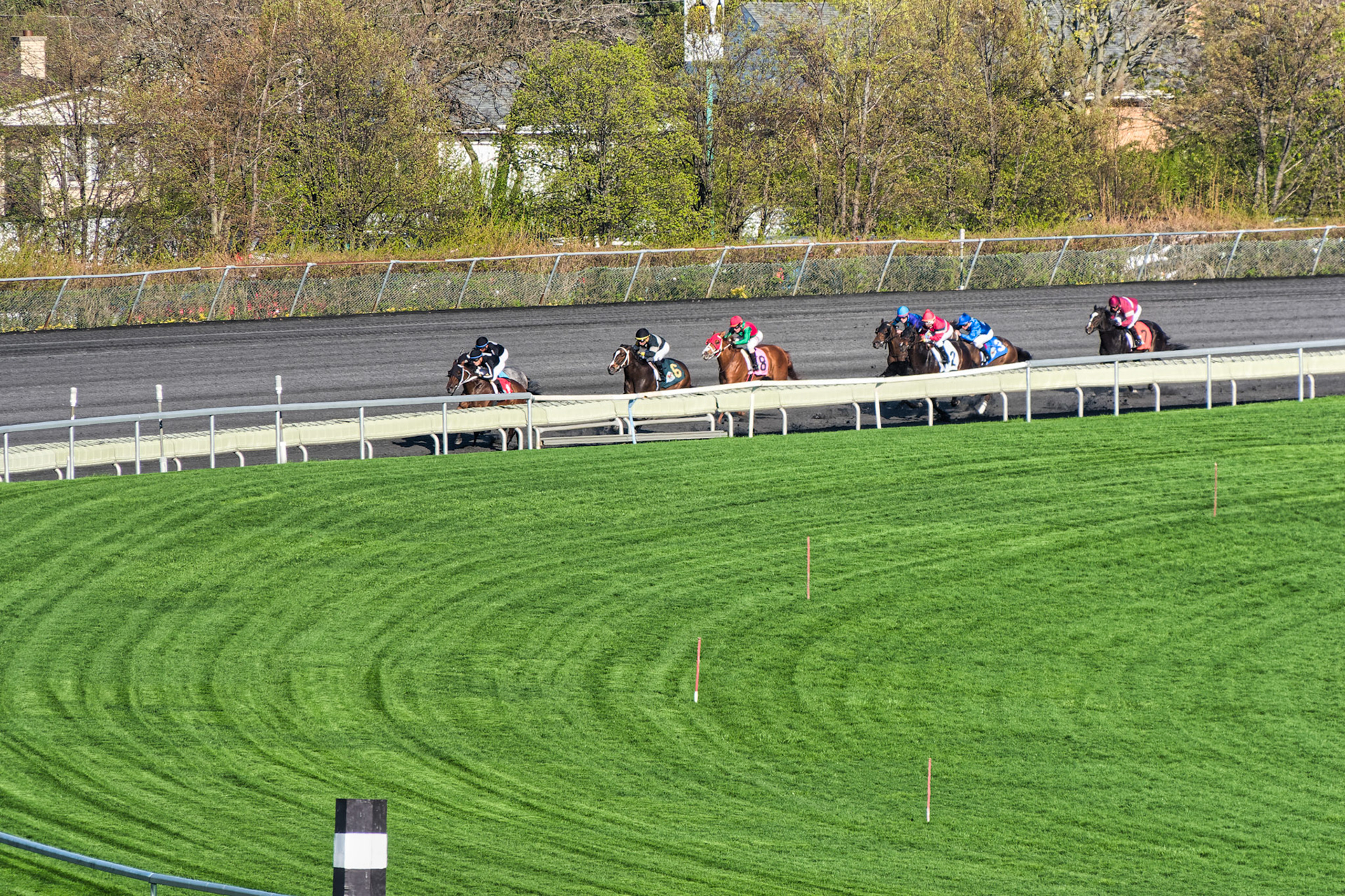 IL Arlington Park 00057