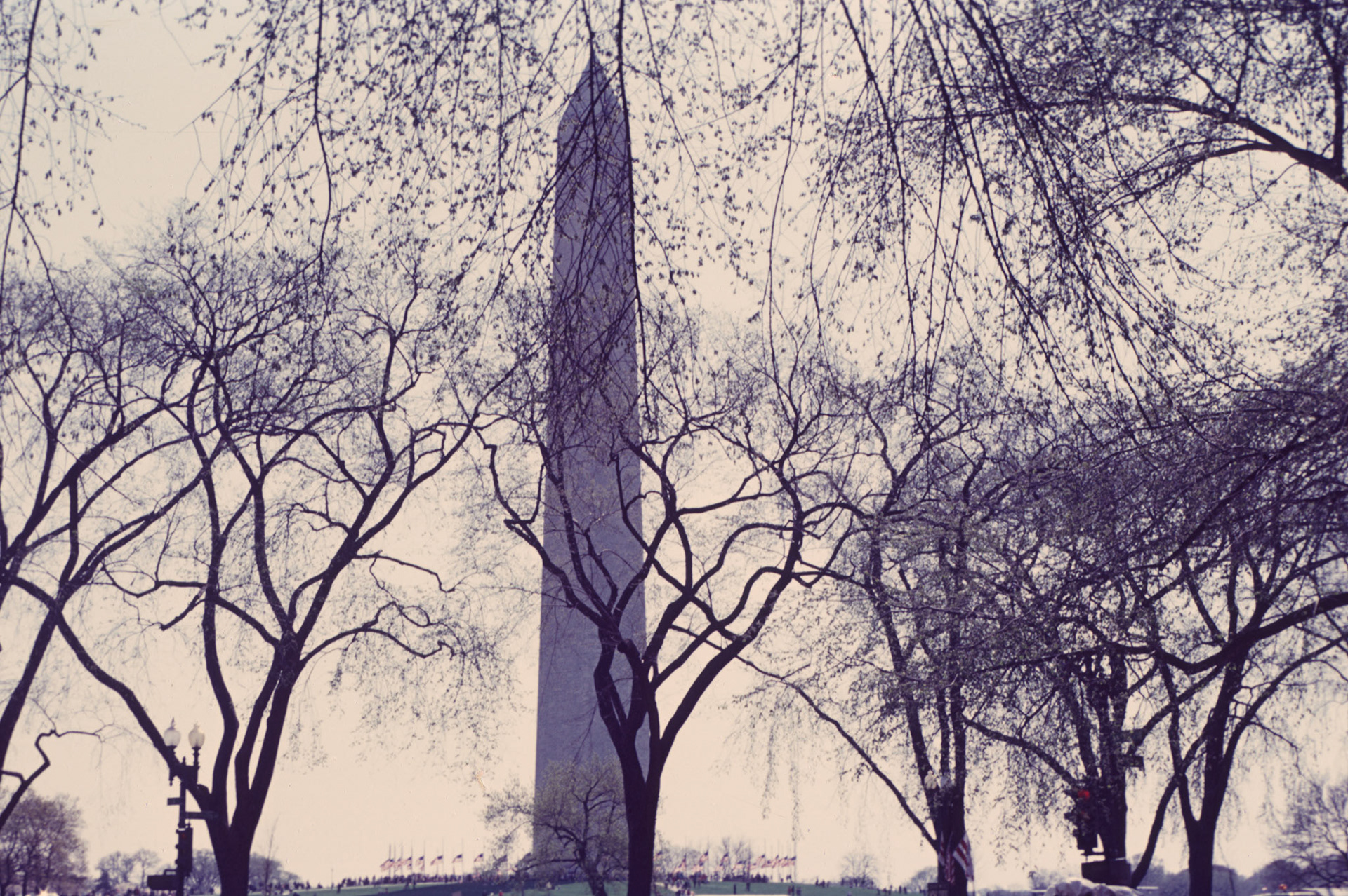 DC Vietnam War Demonstrations 00009
