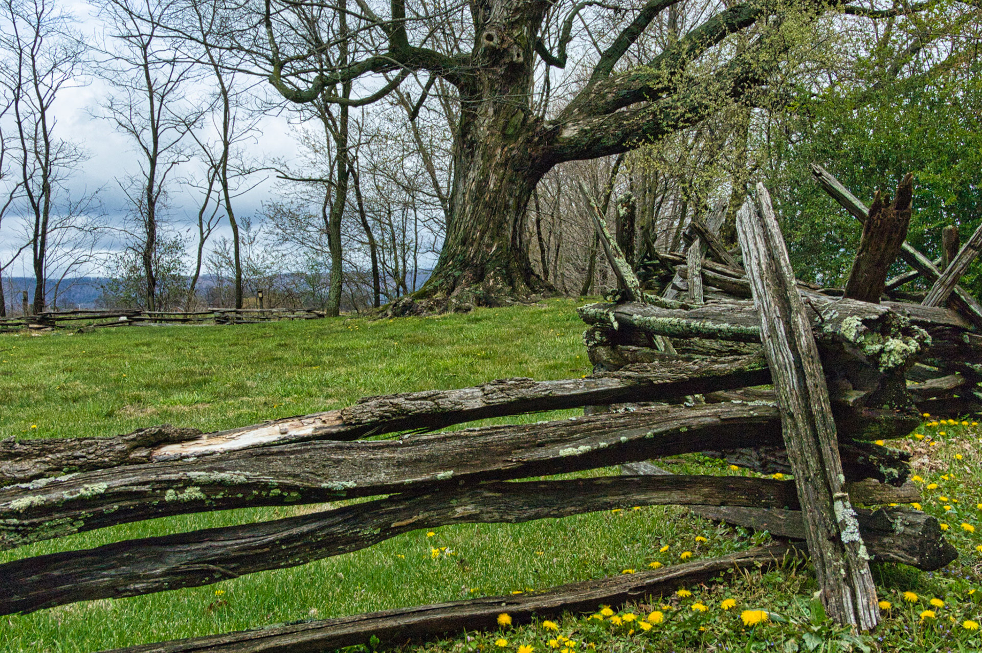 VA Blue Ridge Pkw 00028
