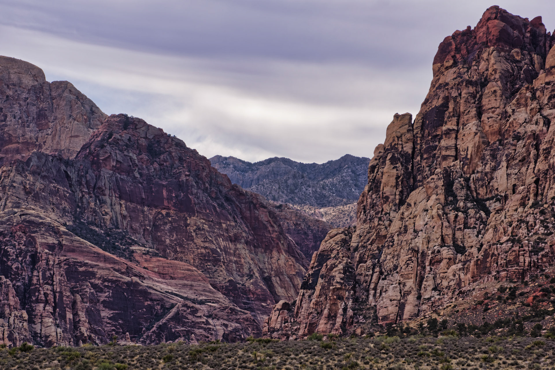 NV Desert 00170