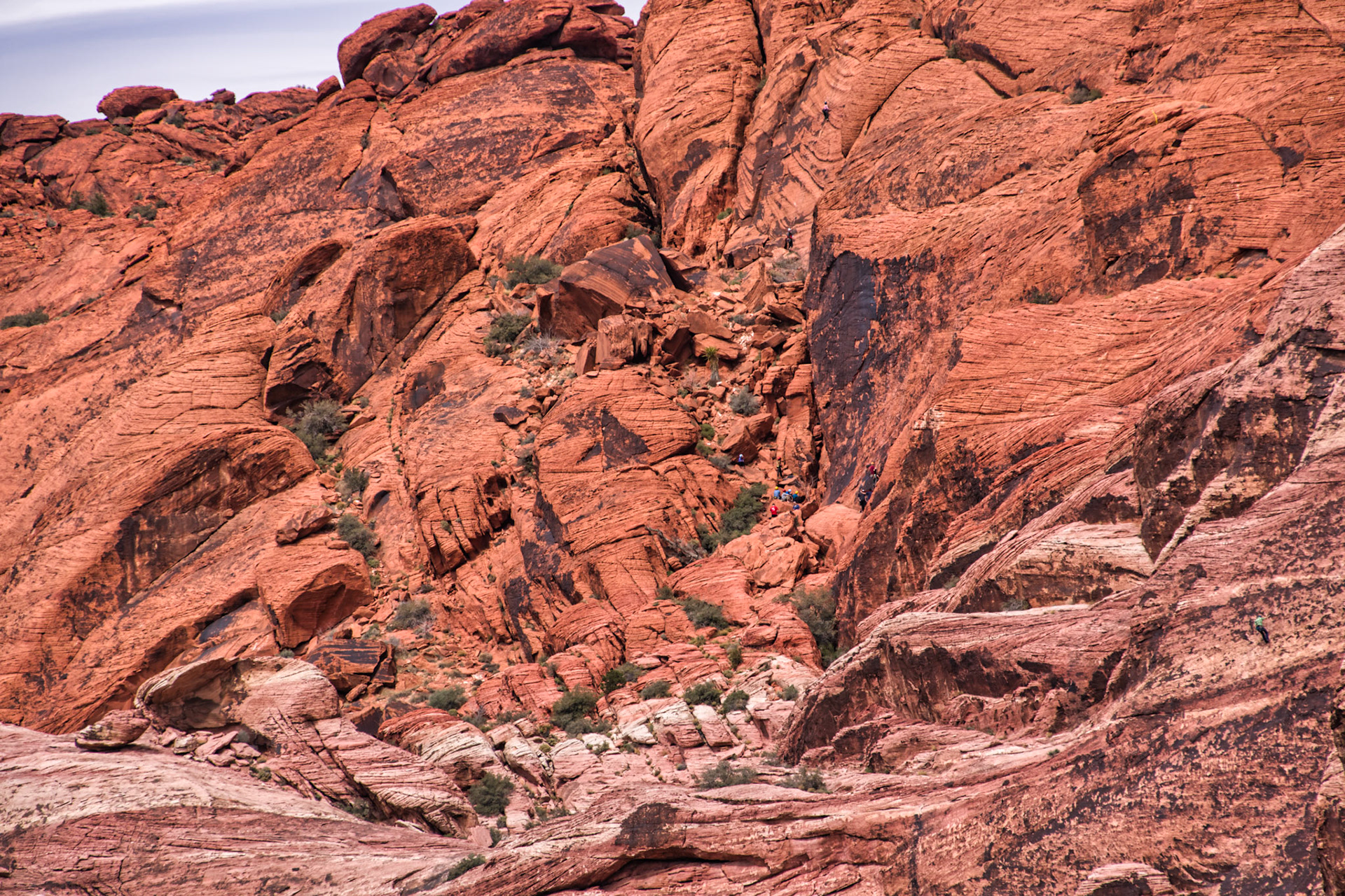 NV Desert 00194