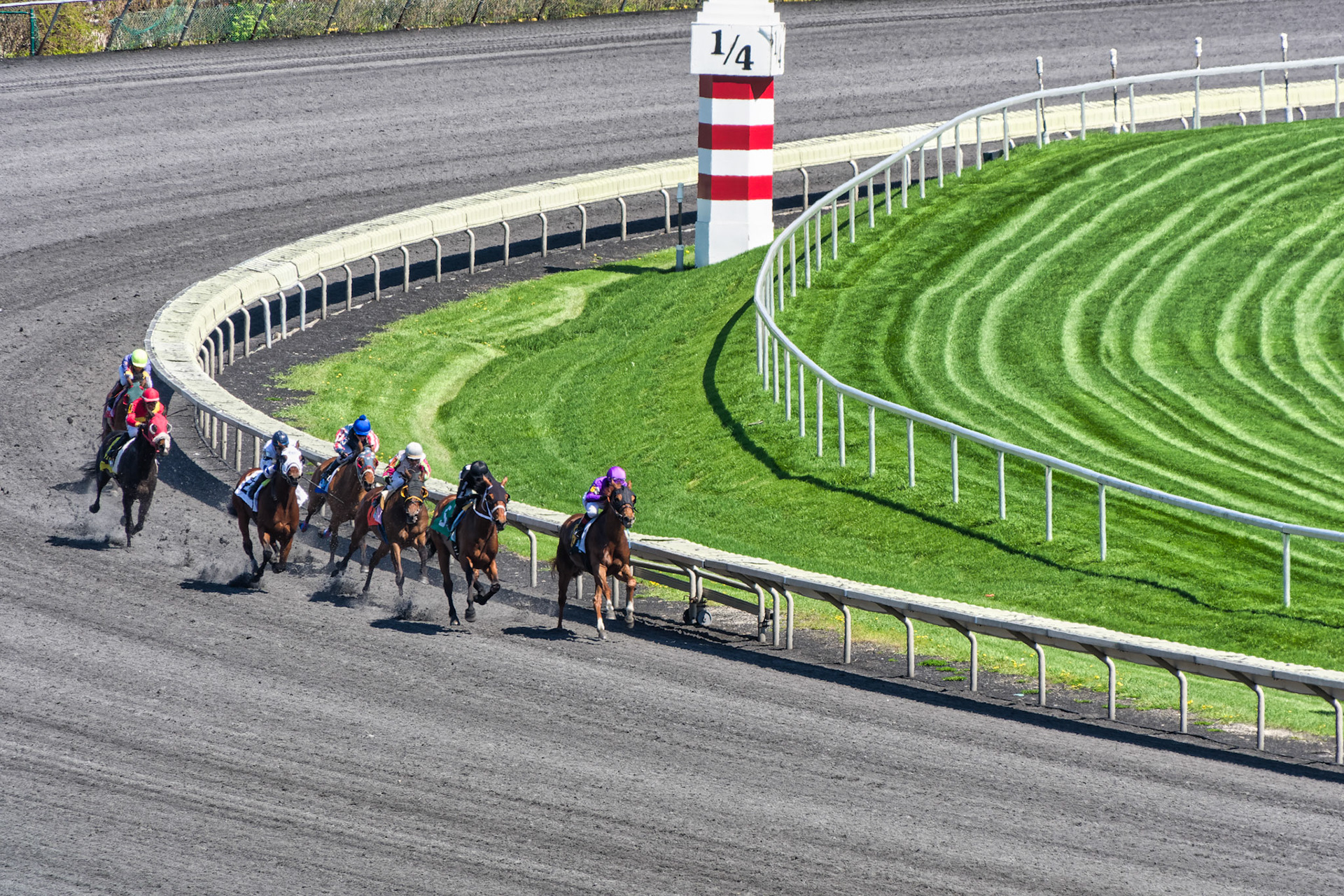 IL Arlington Park 00030