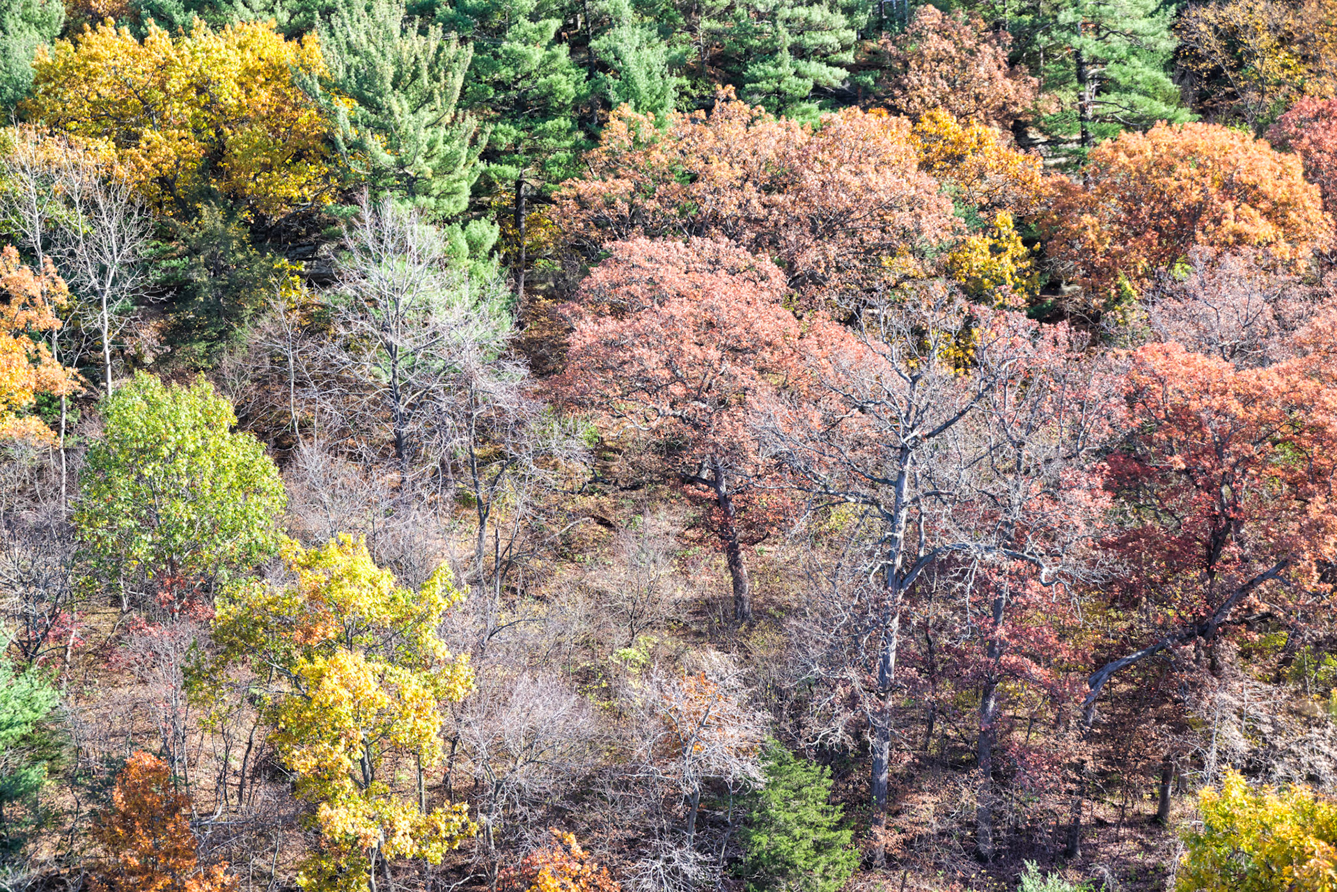 IL Starved Rock 00002