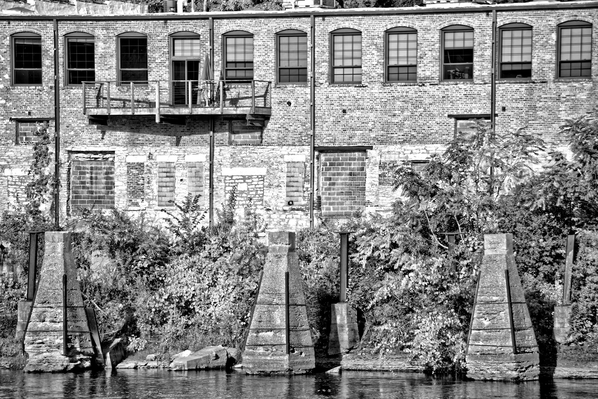 Black & White 00239